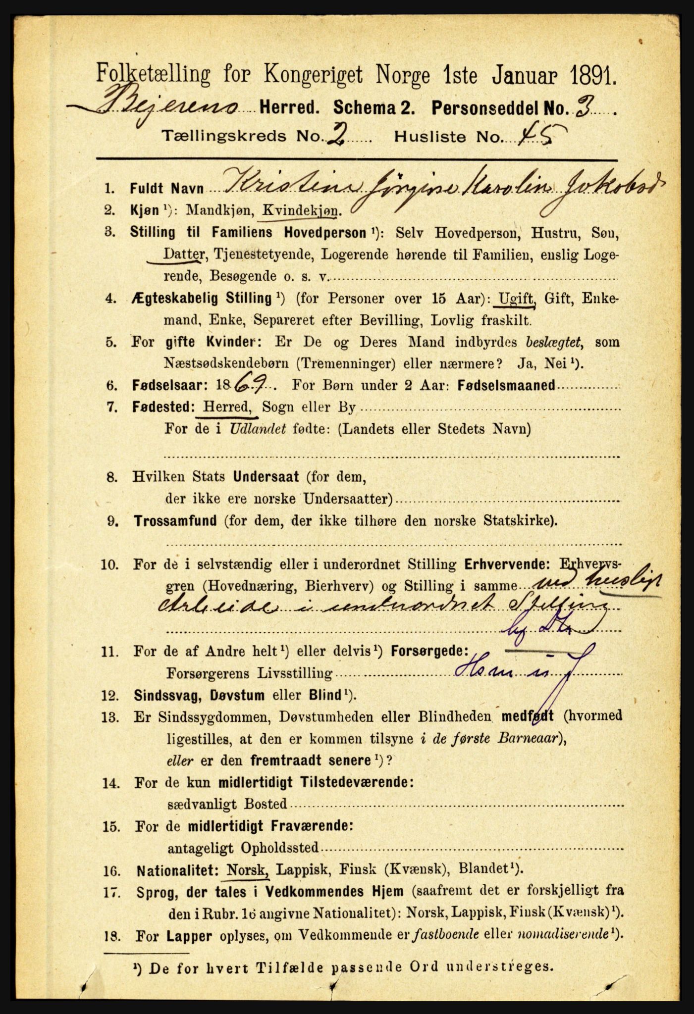 RA, 1891 census for 1839 Beiarn, 1891, p. 668