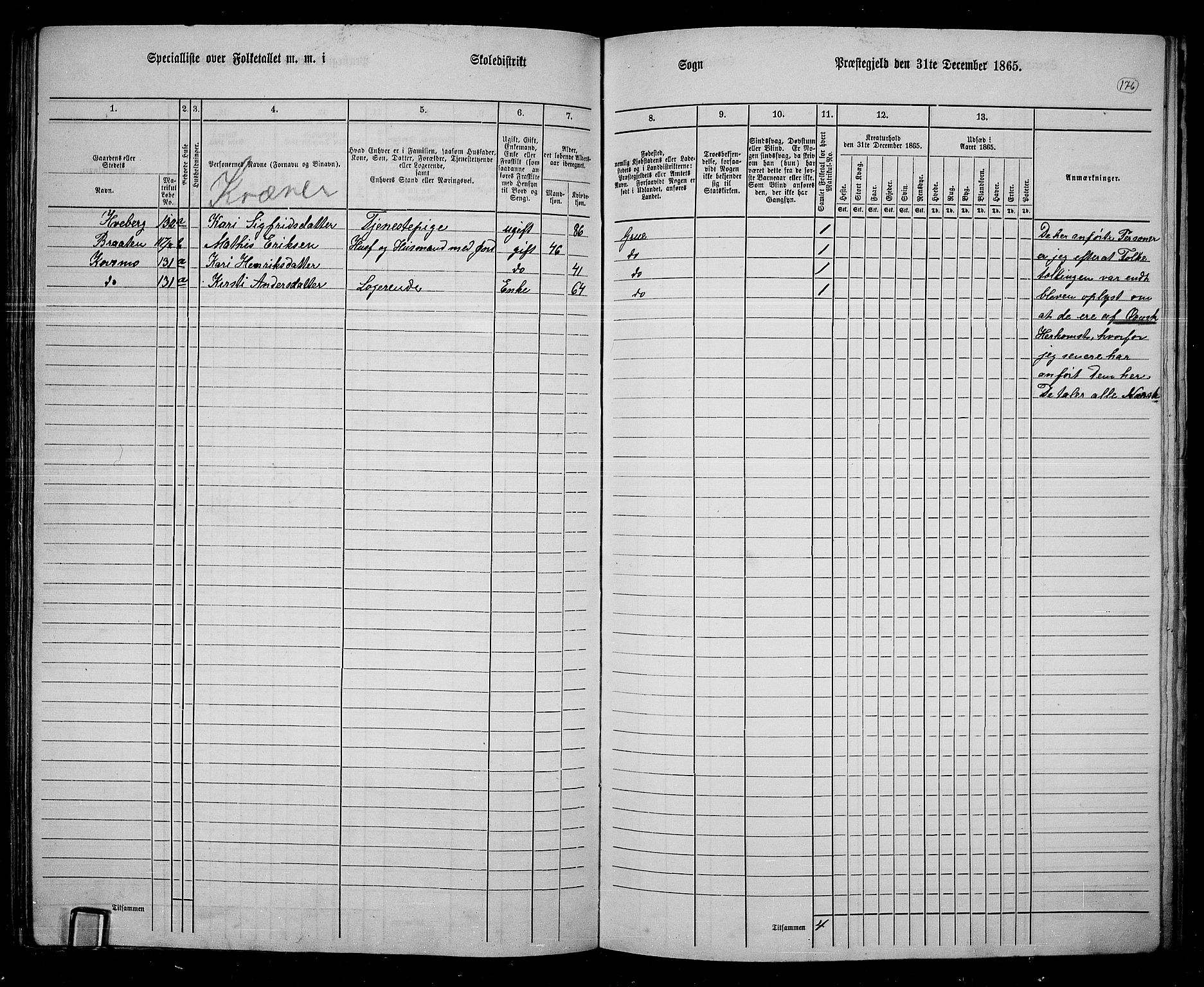 RA, 1865 census for Grue, 1865, p. 154