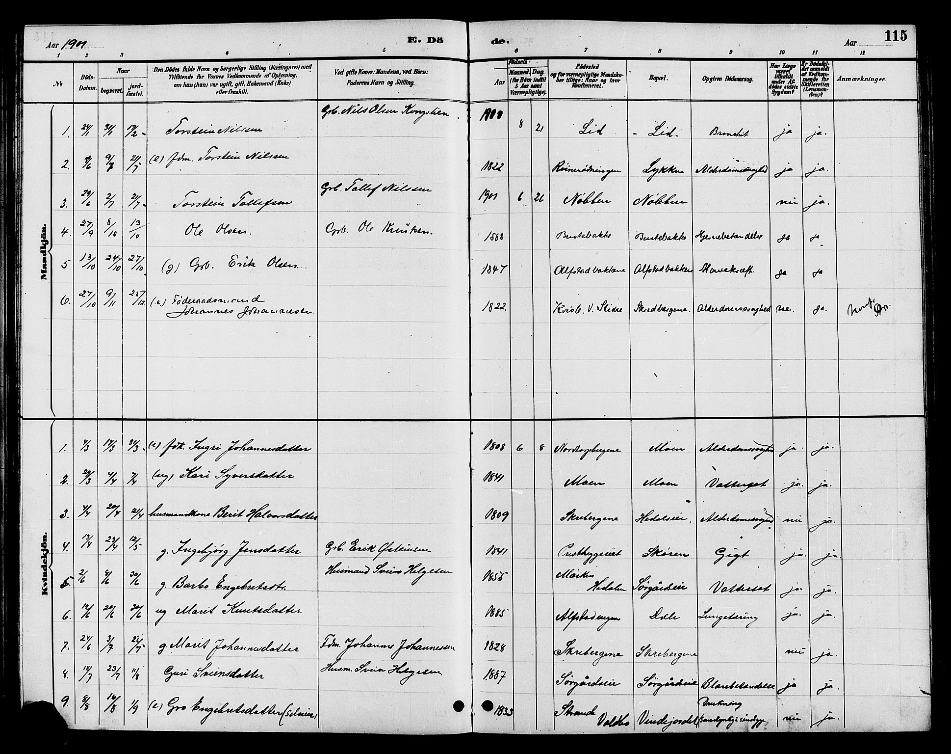 Øystre Slidre prestekontor, AV/SAH-PREST-138/H/Ha/Hab/L0004: Parish register (copy) no. 4, 1887-1907, p. 115