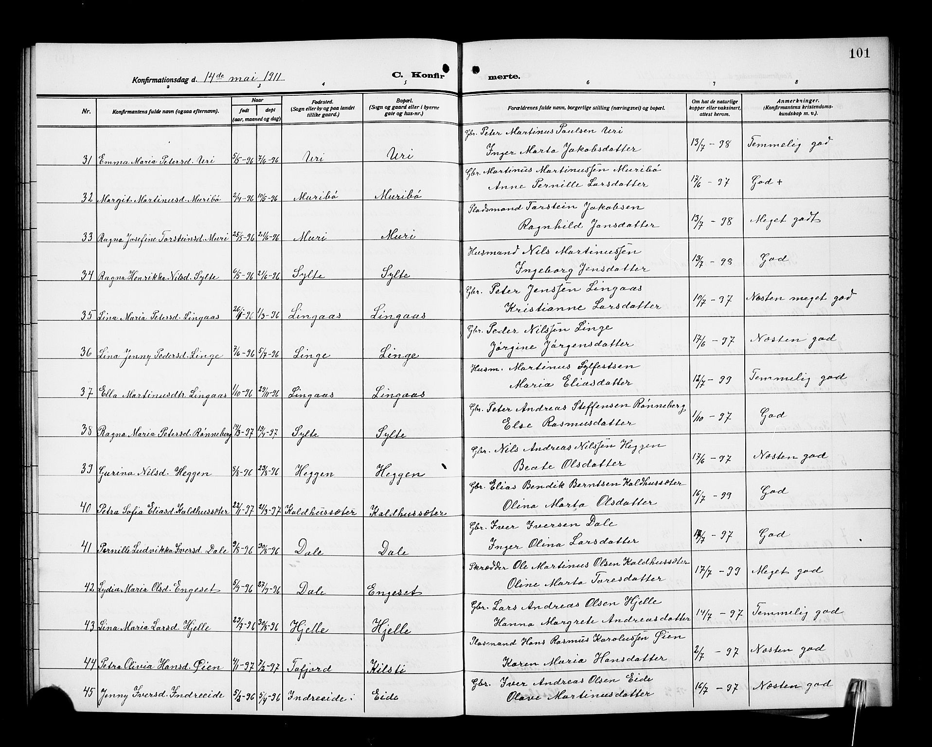 Ministerialprotokoller, klokkerbøker og fødselsregistre - Møre og Romsdal, AV/SAT-A-1454/519/L0265: Parish register (copy) no. 519C06, 1911-1921, p. 101