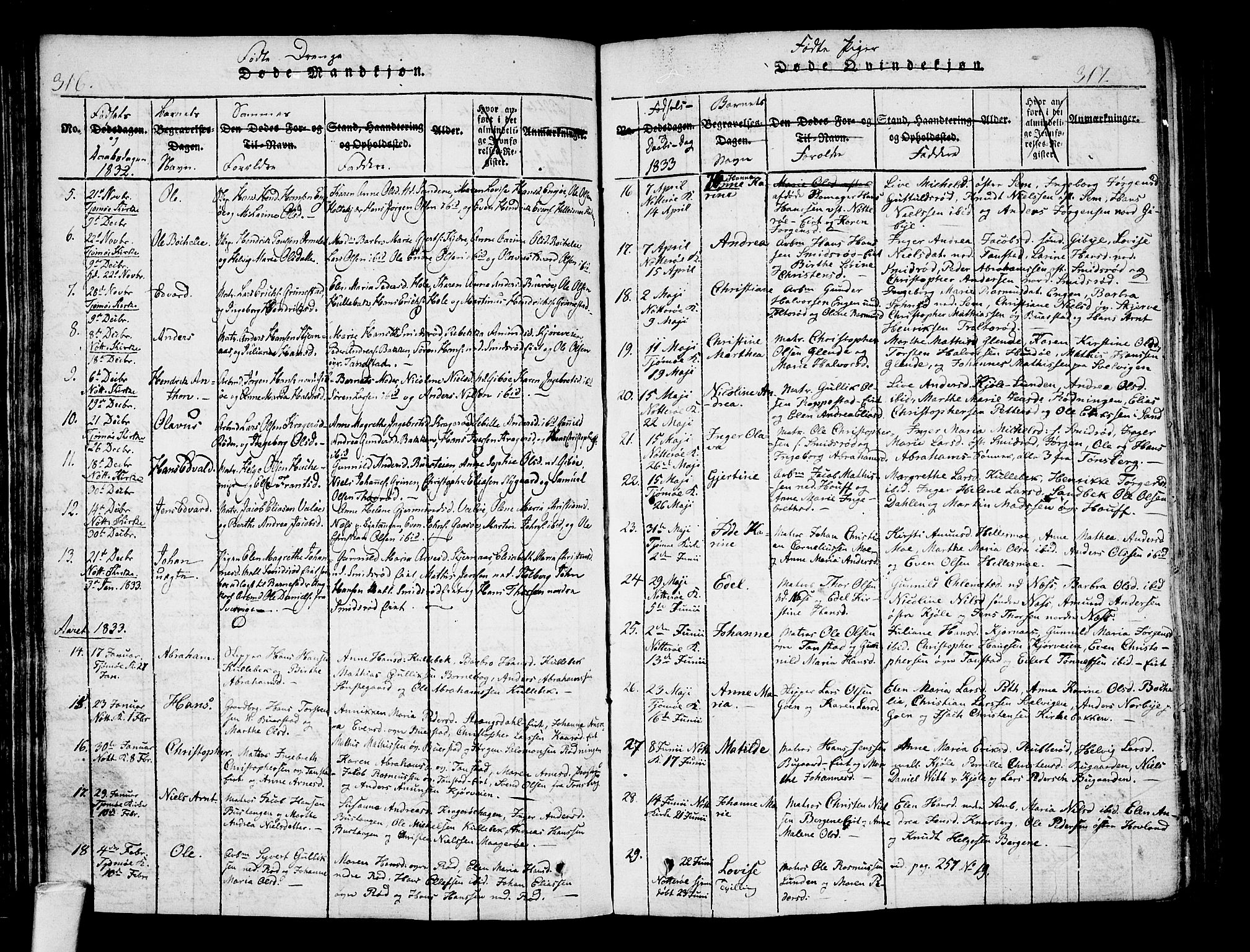 Nøtterøy kirkebøker, AV/SAKO-A-354/F/Fa/L0004: Parish register (official) no. I 4, 1814-1838, p. 316-317