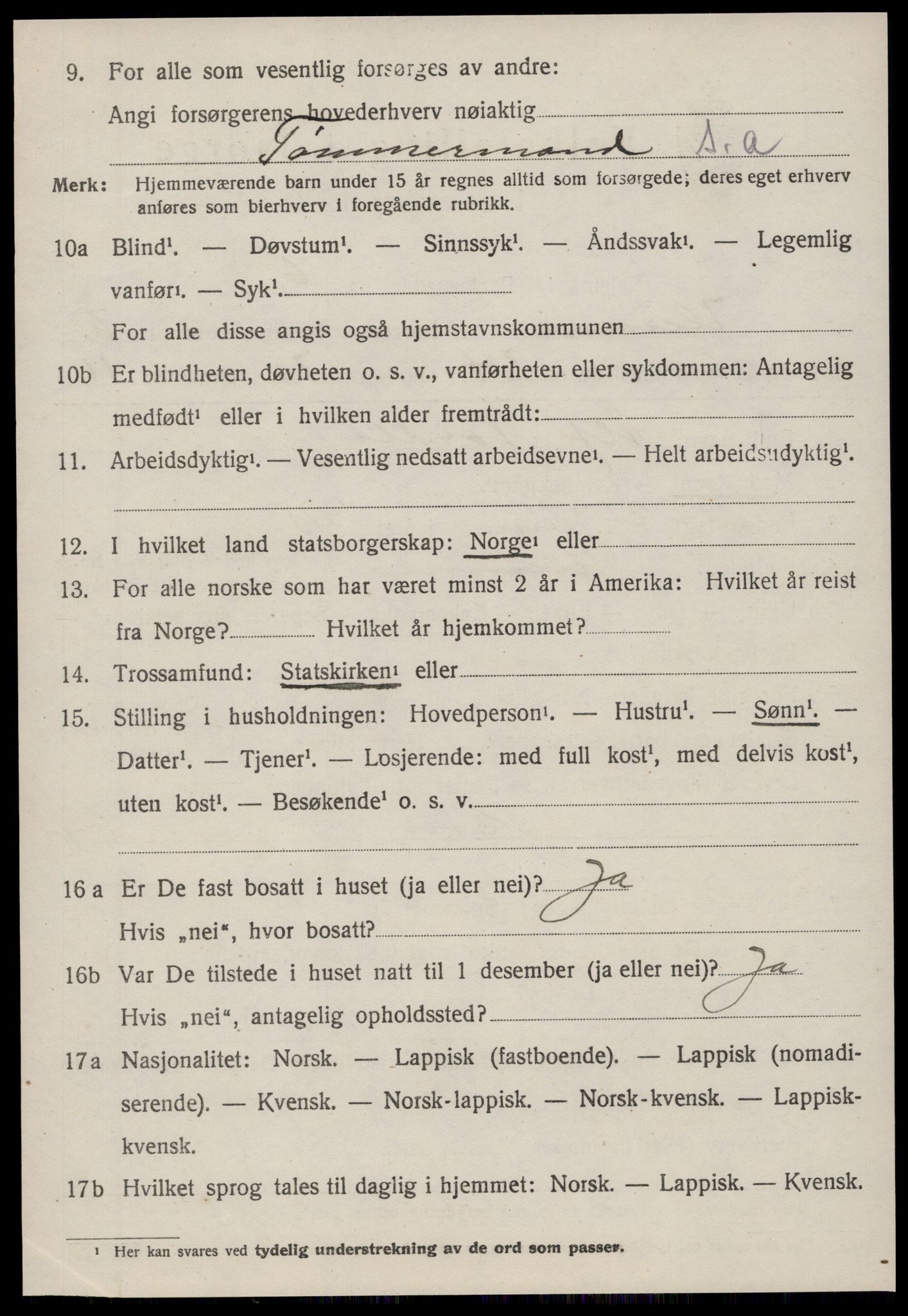 SAT, 1920 census for Hemne, 1920, p. 3989