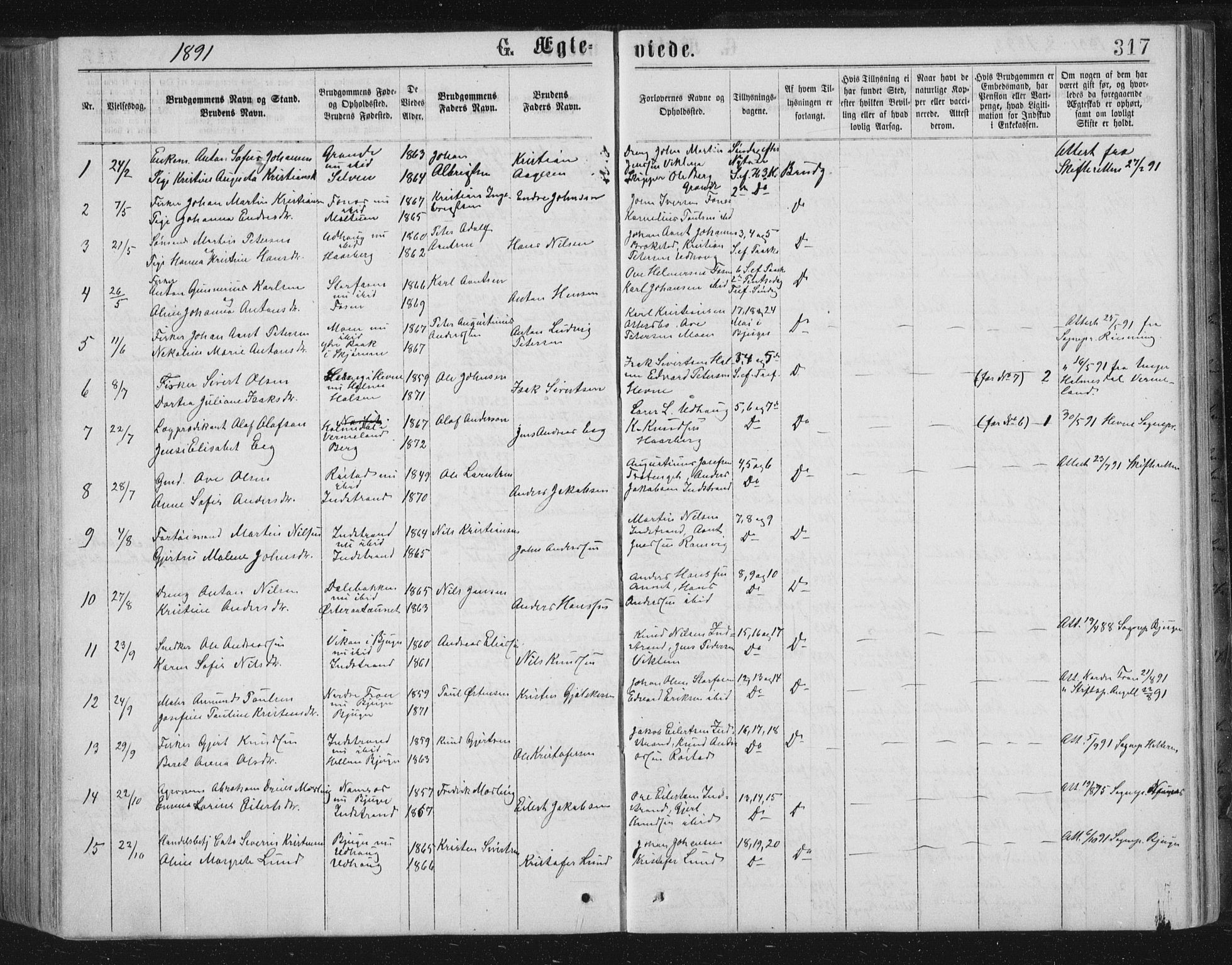 Ministerialprotokoller, klokkerbøker og fødselsregistre - Sør-Trøndelag, SAT/A-1456/659/L0745: Parish register (copy) no. 659C02, 1869-1892, p. 317