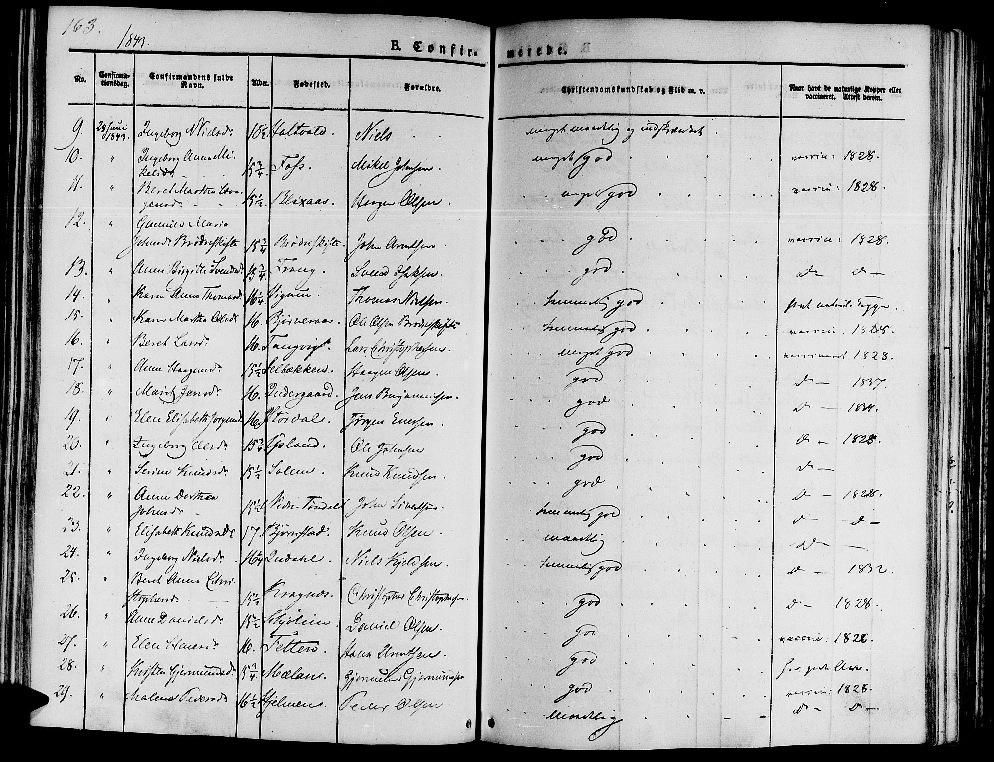 Ministerialprotokoller, klokkerbøker og fødselsregistre - Sør-Trøndelag, AV/SAT-A-1456/646/L0610: Parish register (official) no. 646A08, 1837-1847, p. 163