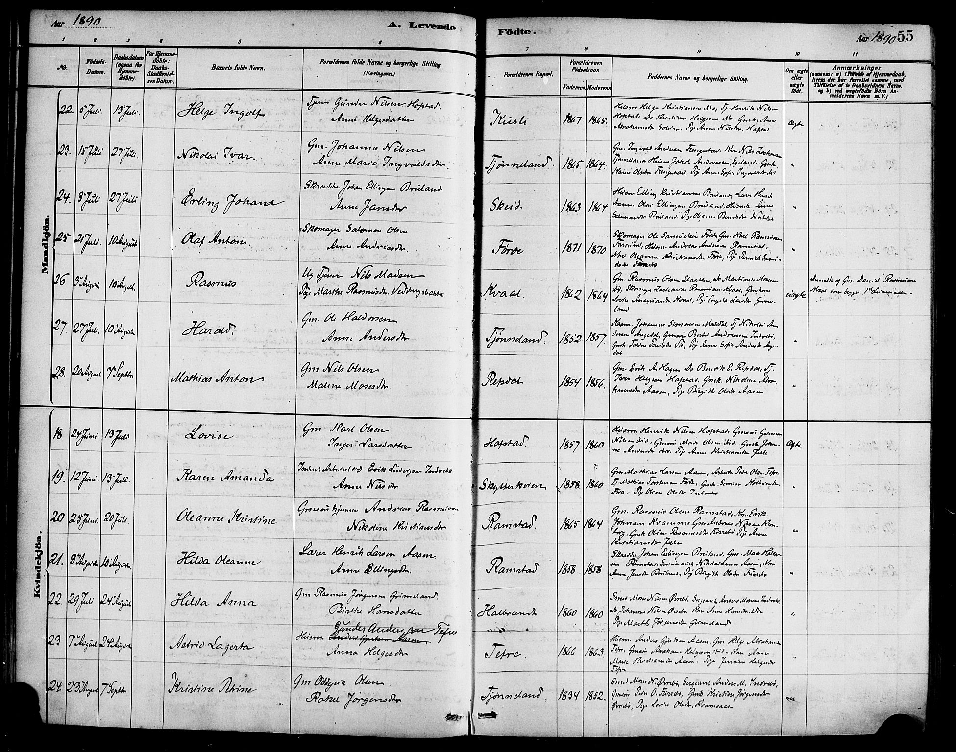 Førde sokneprestembete, AV/SAB-A-79901/H/Haa/Haab/L0001: Parish register (official) no. B 1, 1880-1898, p. 55