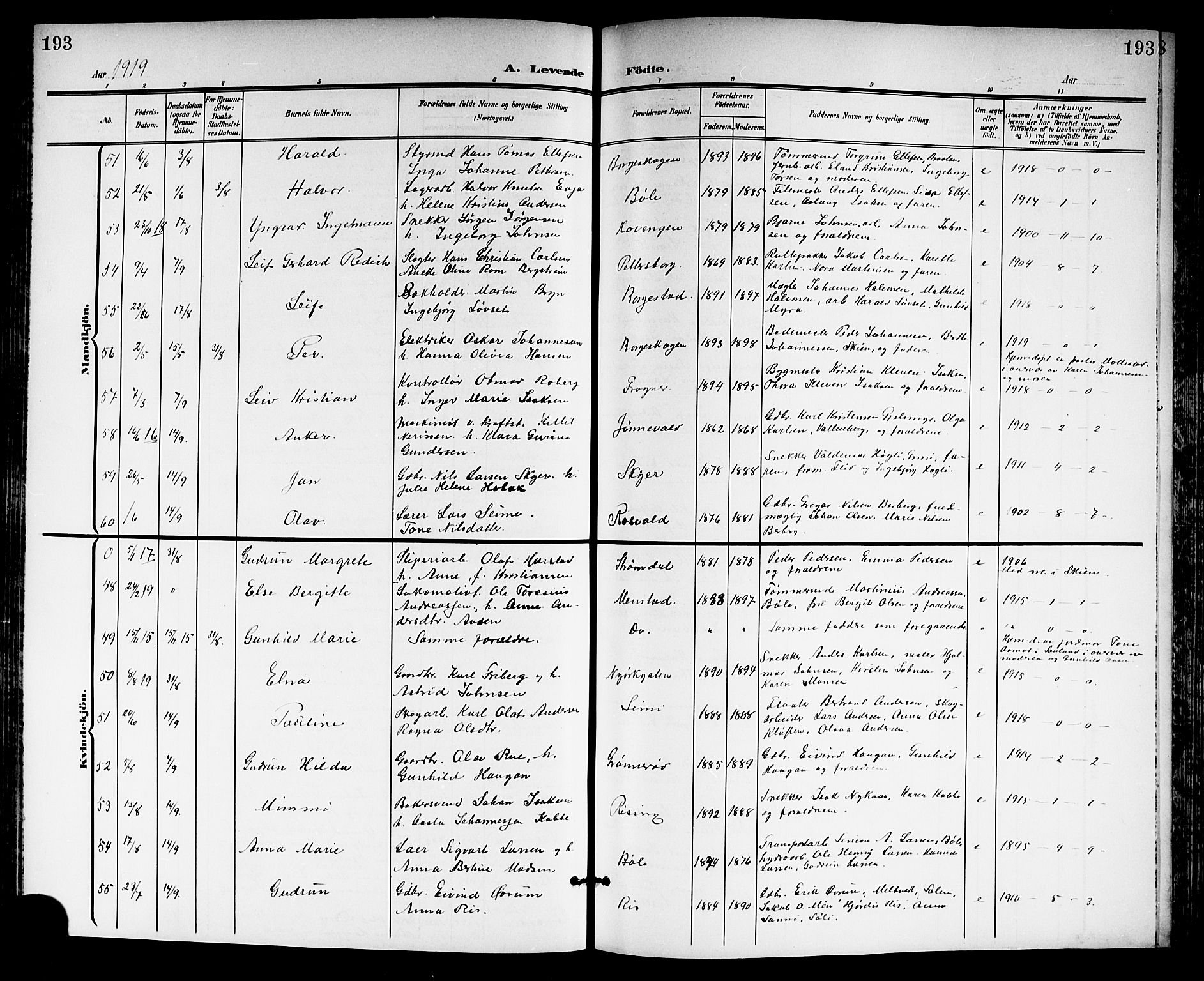 Gjerpen kirkebøker, AV/SAKO-A-265/G/Ga/L0003: Parish register (copy) no. I 3, 1901-1919, p. 193