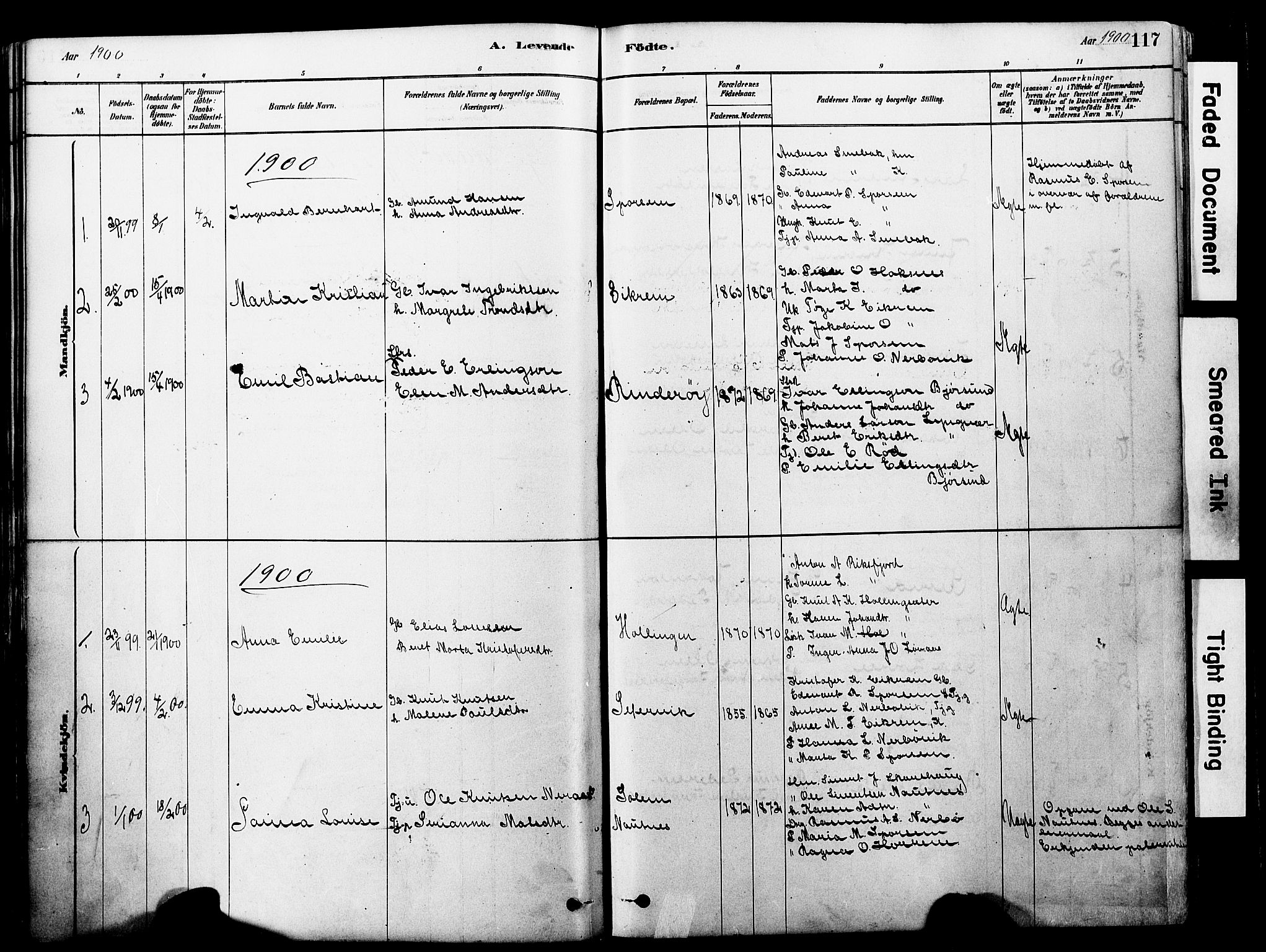 Ministerialprotokoller, klokkerbøker og fødselsregistre - Møre og Romsdal, SAT/A-1454/560/L0721: Parish register (official) no. 560A05, 1878-1917, p. 117