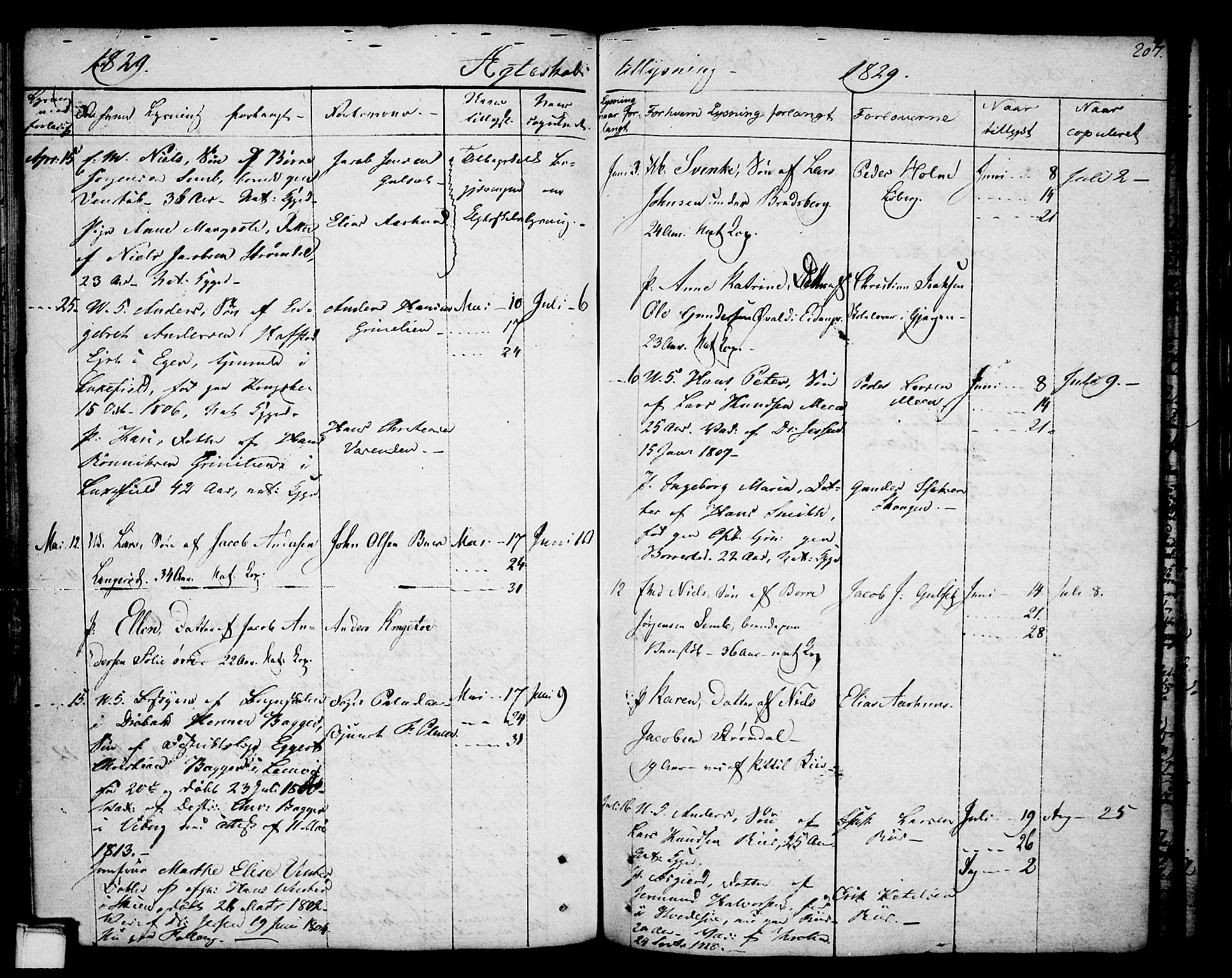 Gjerpen kirkebøker, SAKO/A-265/F/Fa/L0003: Parish register (official) no. I 3, 1796-1814, p. 207