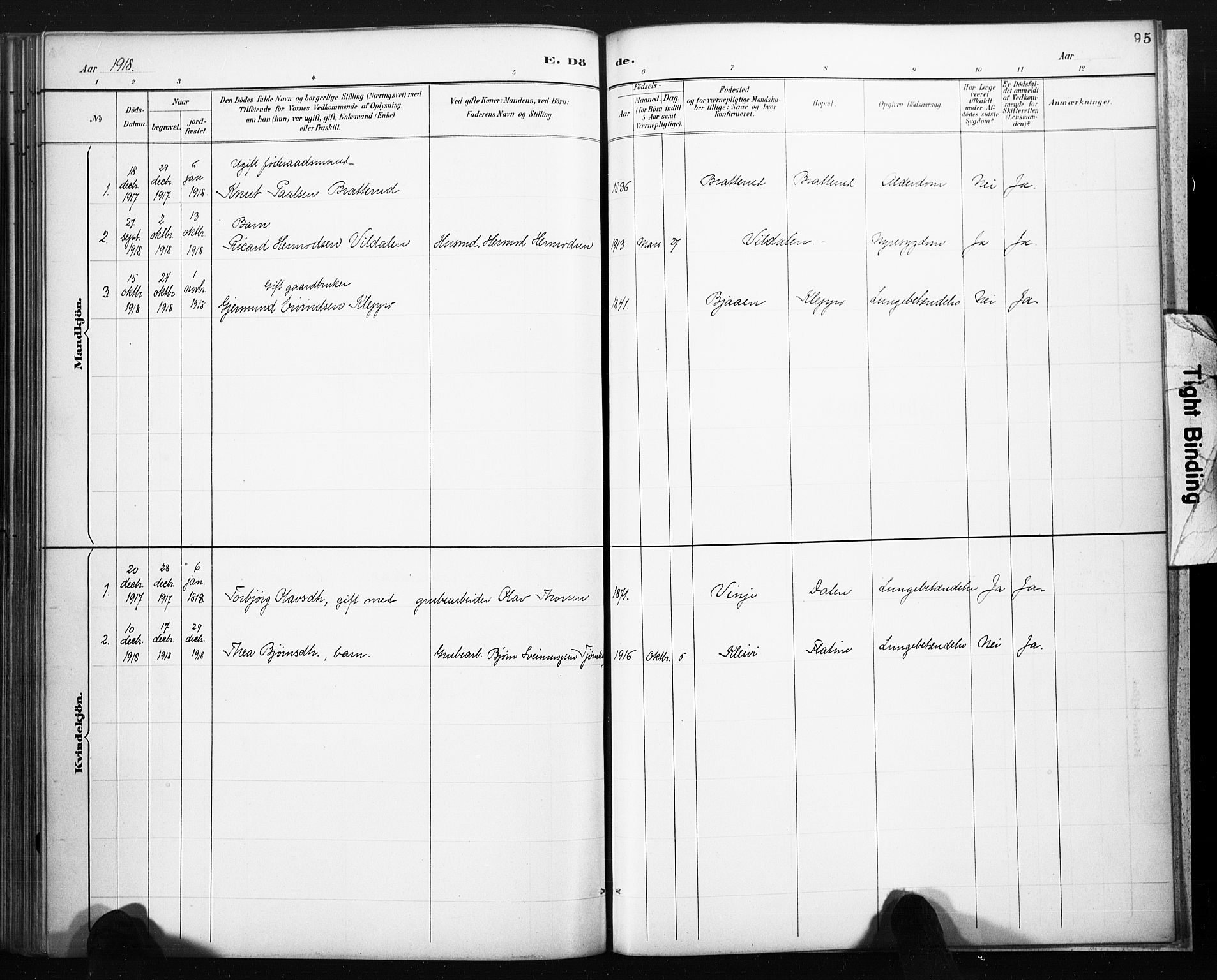 Lårdal kirkebøker, SAKO/A-284/F/Fb/L0002: Parish register (official) no. II 2, 1887-1918, p. 95