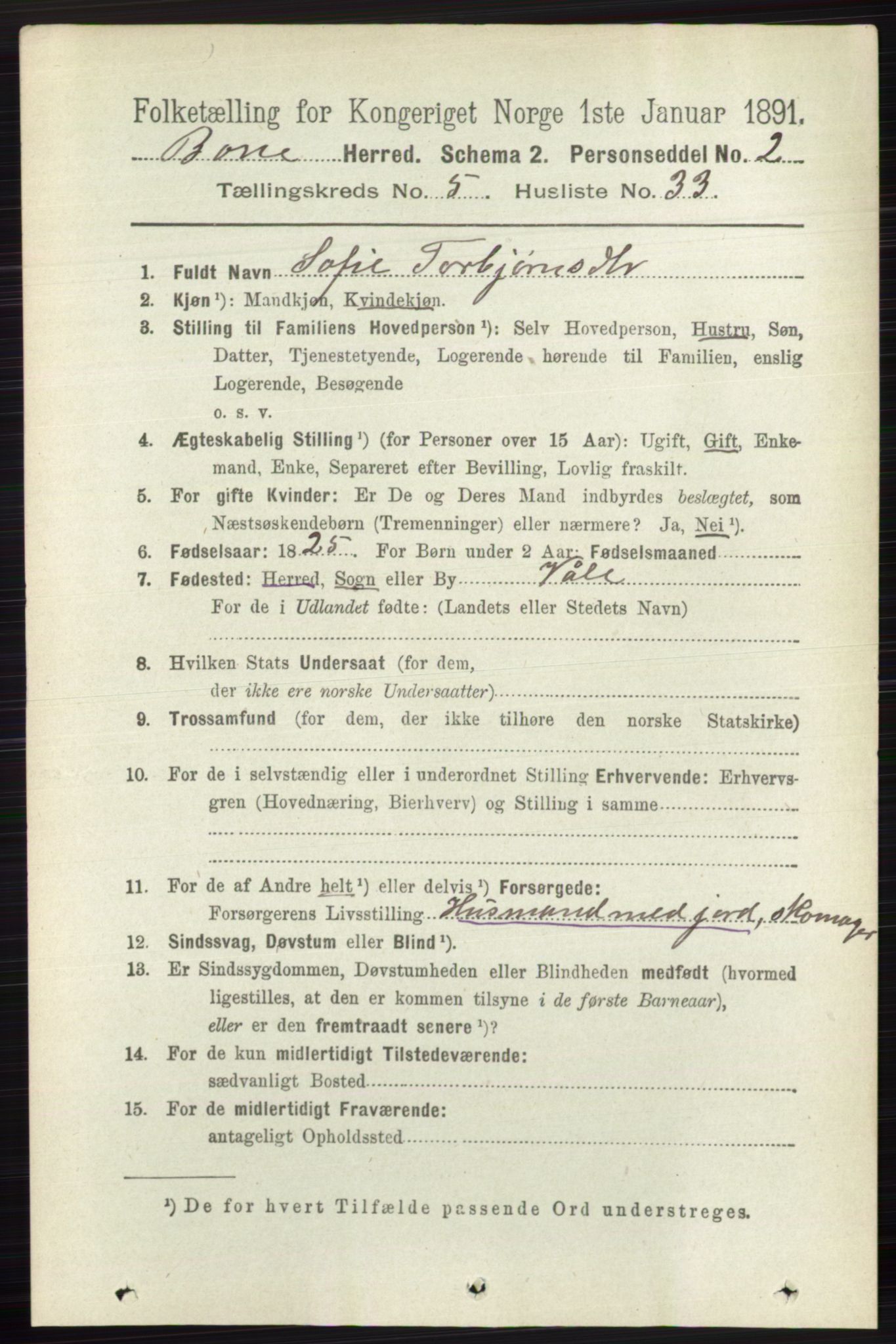 RA, 1891 census for 0717 Borre, 1891, p. 2215
