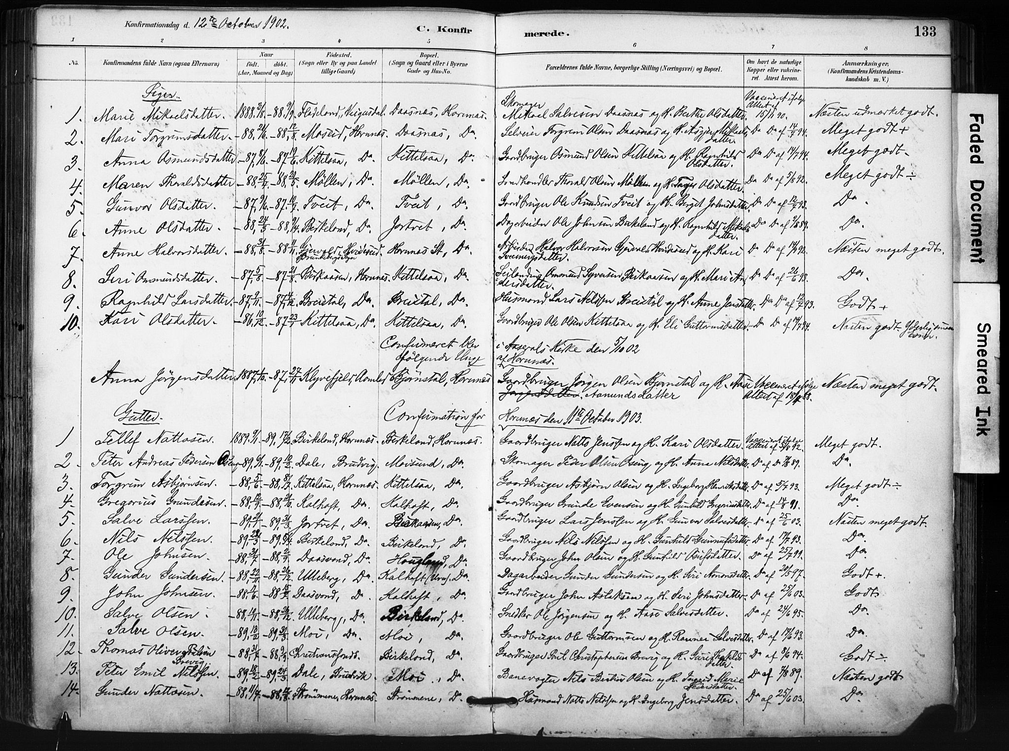 Evje sokneprestkontor, SAK/1111-0008/F/Fa/Fab/L0003: Parish register (official) no. A 3, 1884-1909, p. 133