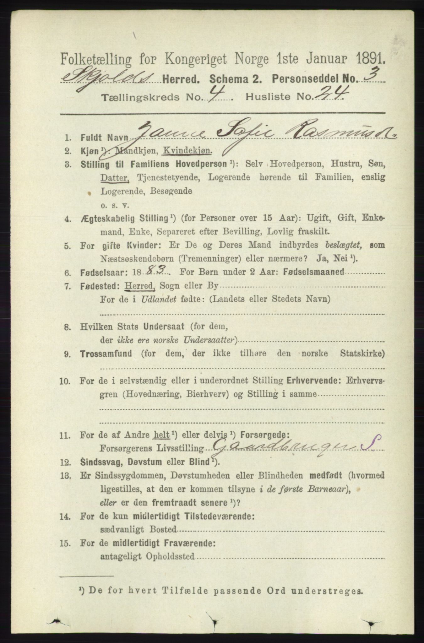 RA, 1891 census for 1154 Skjold, 1891, p. 653
