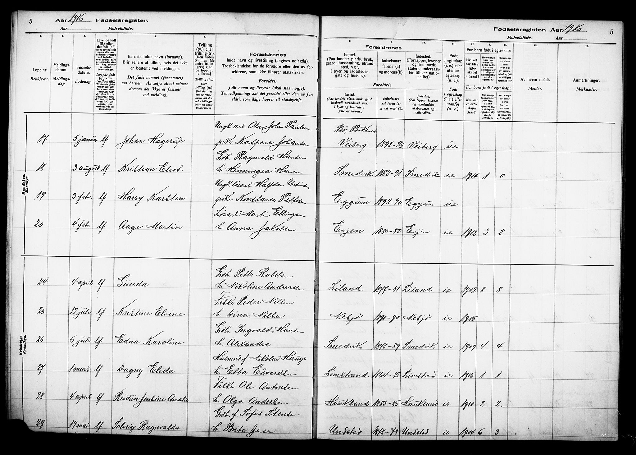 Ministerialprotokoller, klokkerbøker og fødselsregistre - Nordland, AV/SAT-A-1459/880/L1145: Birth register no. 880.II.4.1, 1916-1929, p. 5