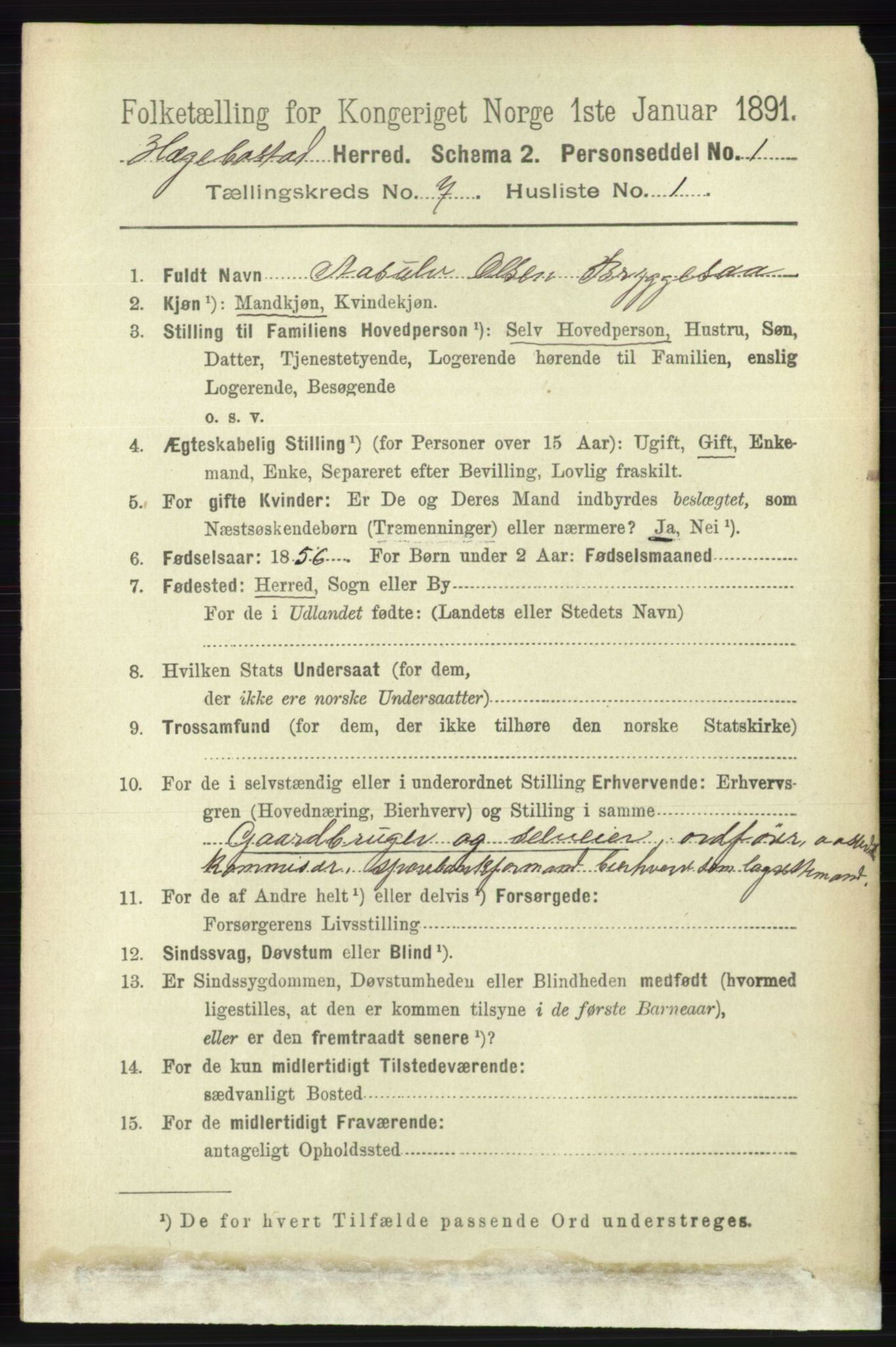 RA, 1891 census for 1034 Hægebostad, 1891, p. 2101