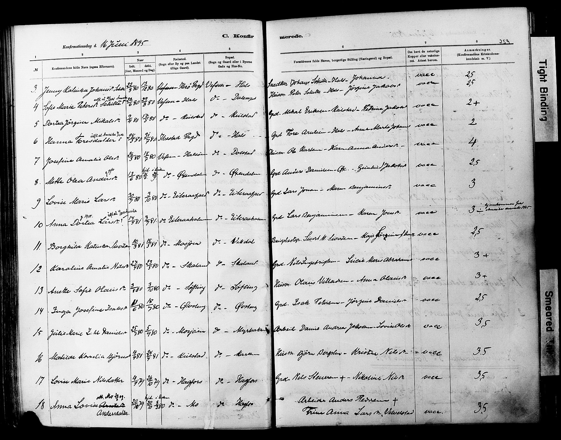 Ministerialprotokoller, klokkerbøker og fødselsregistre - Nordland, AV/SAT-A-1459/820/L0295: Parish register (official) no. 820A16, 1880-1896, p. 259