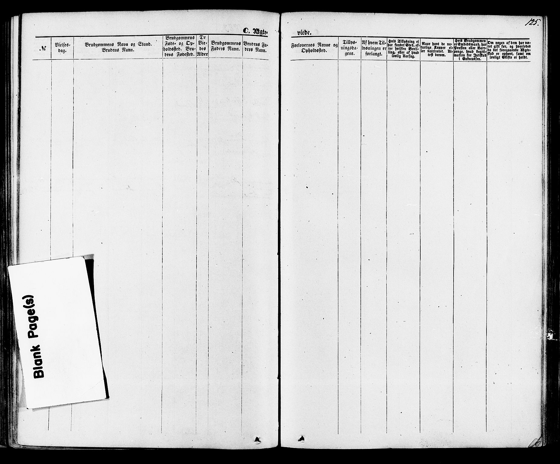 Lunde kirkebøker, SAKO/A-282/F/Fa/L0001: Parish register (official) no. I 1, 1866-1883, p. 125