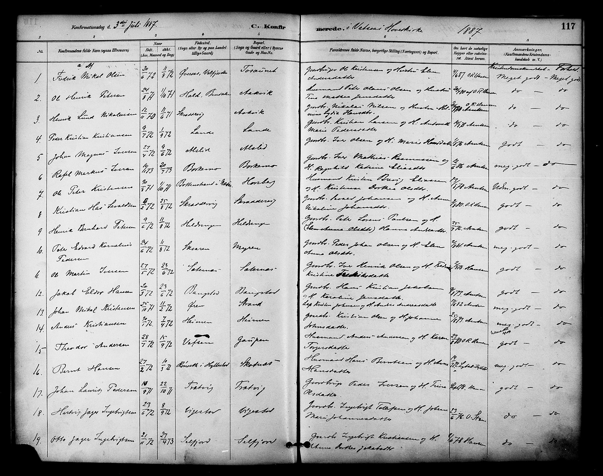 Ministerialprotokoller, klokkerbøker og fødselsregistre - Nordland, AV/SAT-A-1459/810/L0150: Parish register (official) no. 810A10 /1, 1884-1895, p. 117