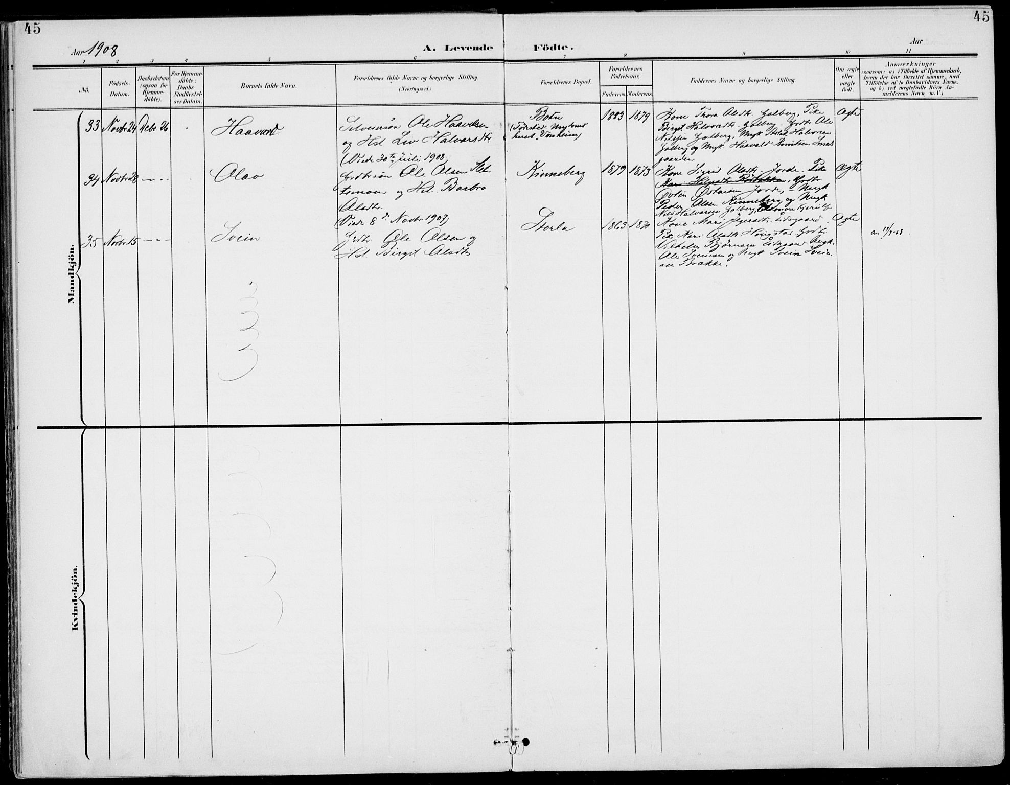 Gol kirkebøker, SAKO/A-226/F/Fa/L0006: Parish register (official) no. I 6, 1901-1918, p. 45