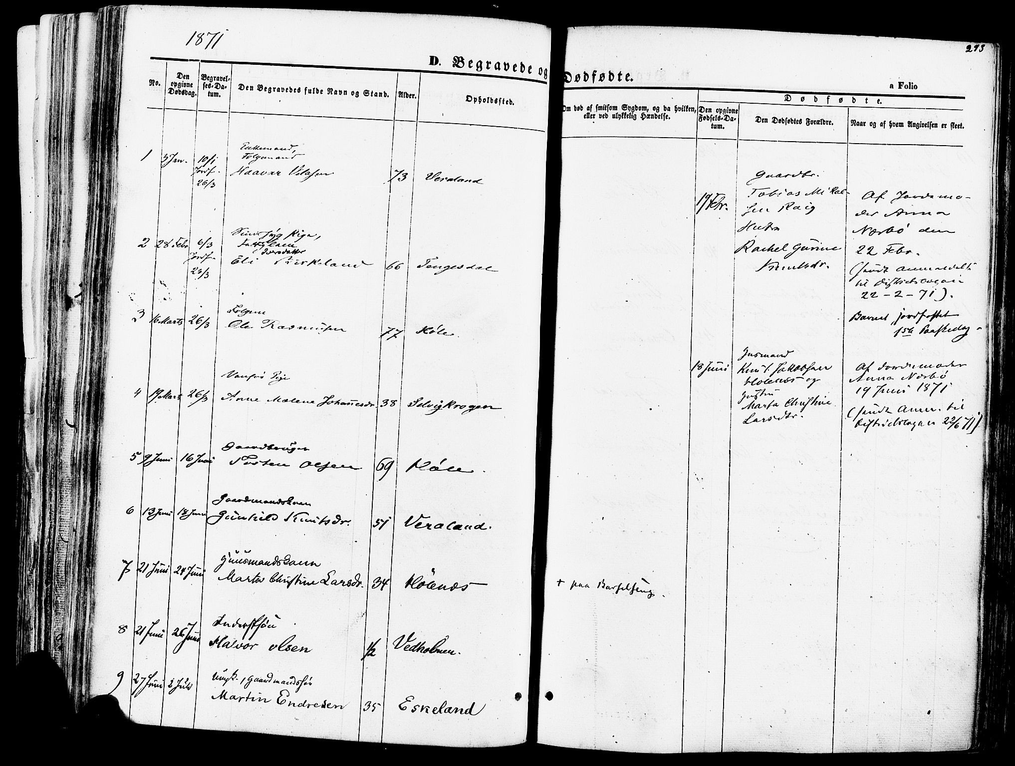 Høgsfjord sokneprestkontor, SAST/A-101624/H/Ha/Haa/L0002: Parish register (official) no. A 2, 1855-1885, p. 293