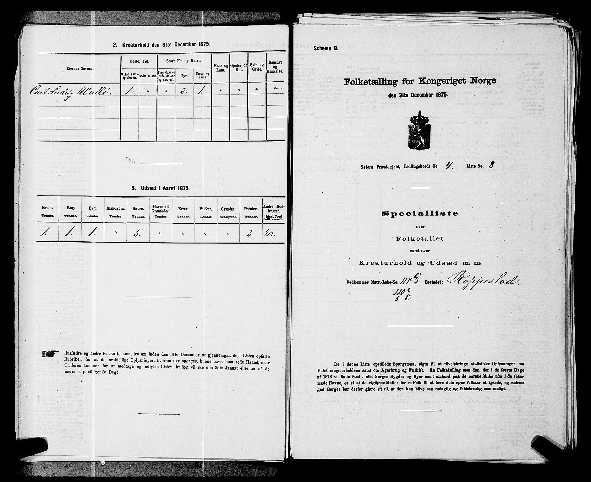 SAKO, 1875 census for 0722P Nøtterøy, 1875, p. 811