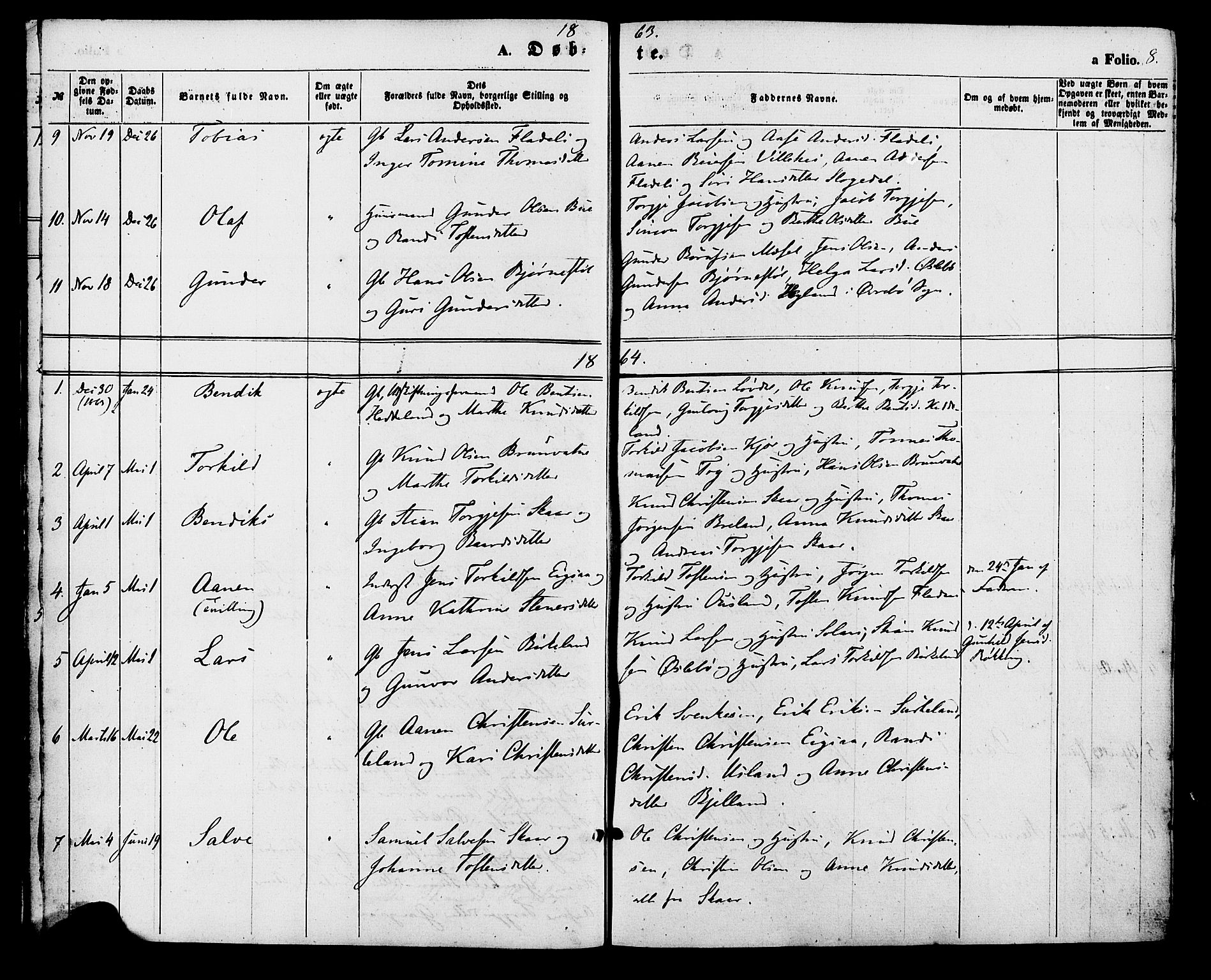 Holum sokneprestkontor, AV/SAK-1111-0022/F/Fa/Fac/L0003: Parish register (official) no. A 3, 1860-1883, p. 8