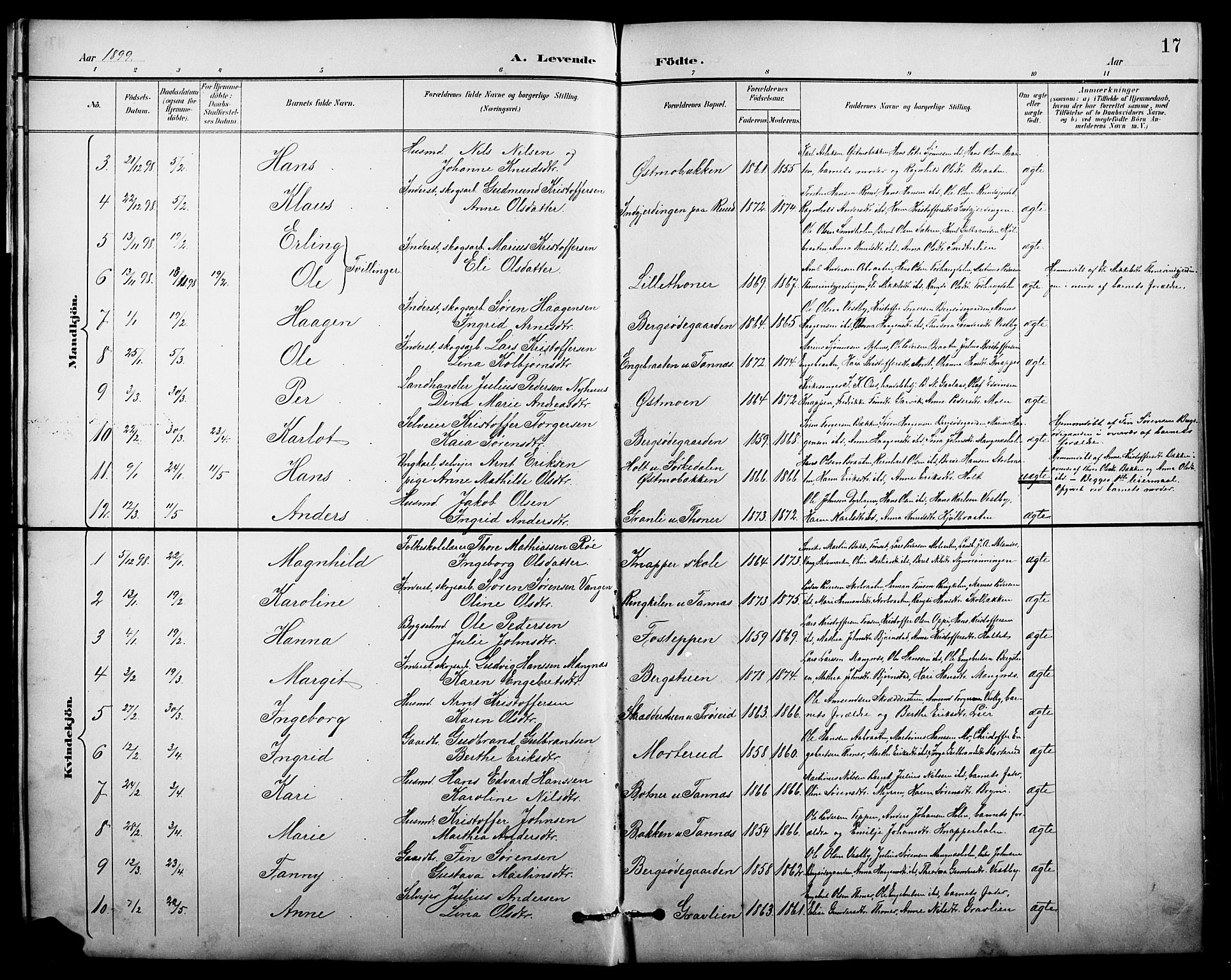 Nord-Odal prestekontor, AV/SAH-PREST-032/H/Ha/Hab/L0002: Parish register (copy) no. 2, 1895-1921, p. 17