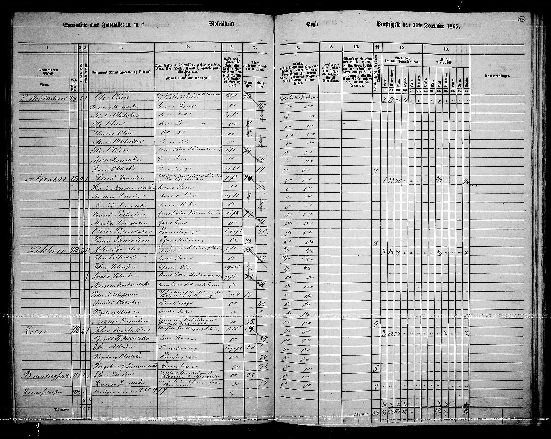 RA, 1865 census for Lille Elvedalen, 1865, p. 104