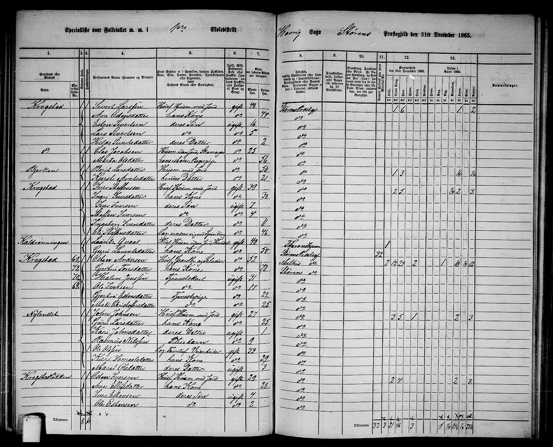 RA, 1865 census for Støren, 1865, p. 128