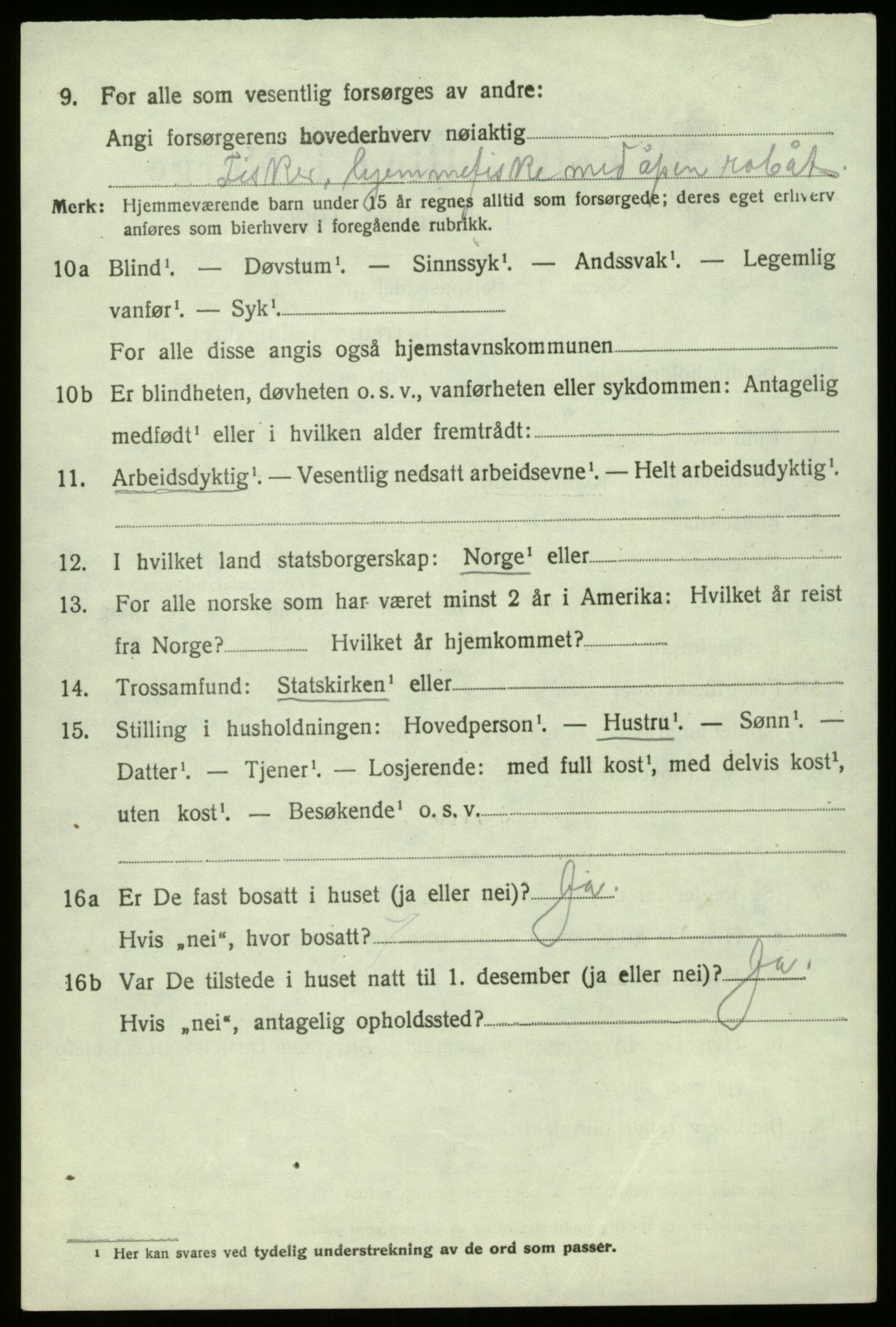 SAO, 1920 census for Hvaler, 1920, p. 7365