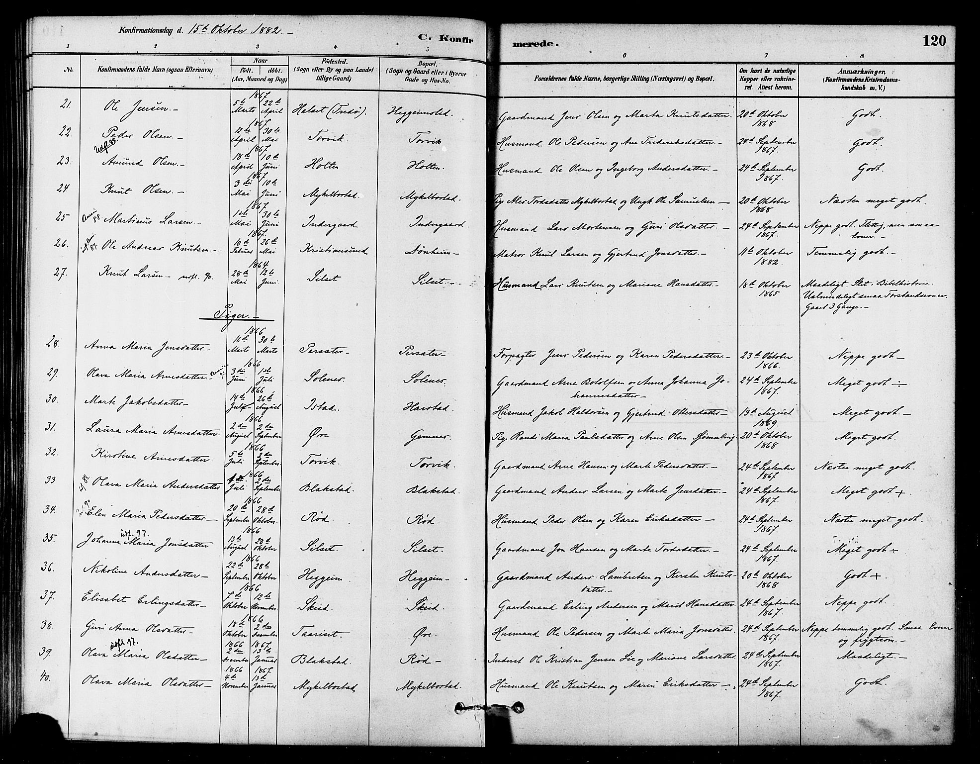 Ministerialprotokoller, klokkerbøker og fødselsregistre - Møre og Romsdal, SAT/A-1454/584/L0967: Parish register (official) no. 584A07, 1879-1894, p. 120