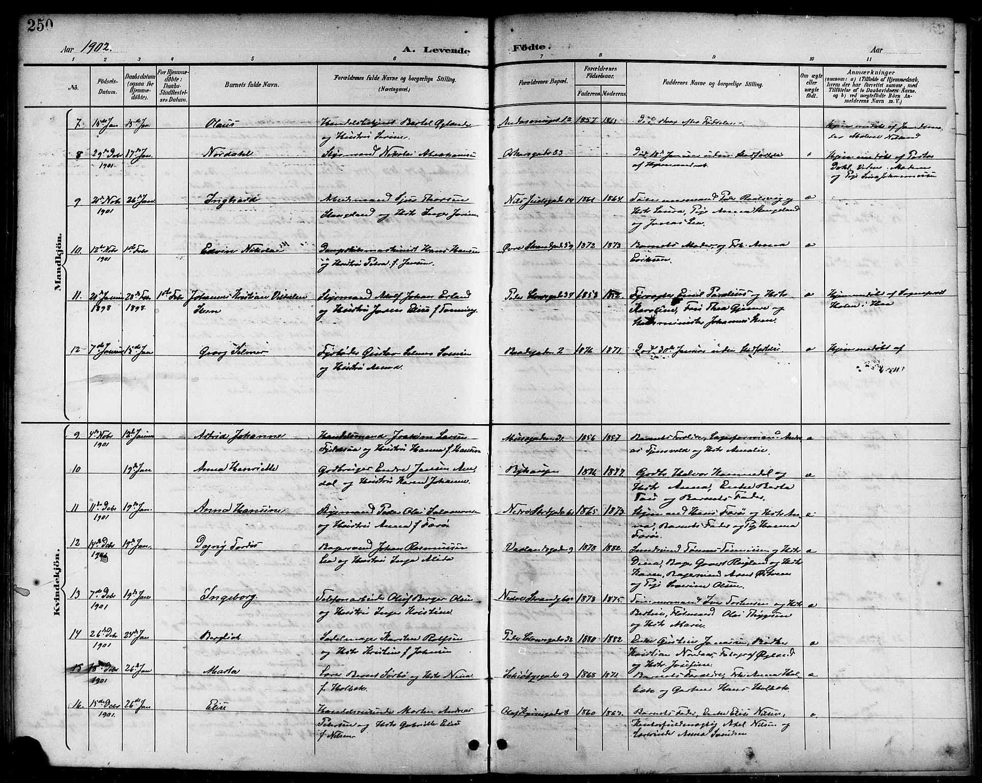 Domkirken sokneprestkontor, SAST/A-101812/001/30/30BB/L0016: Parish register (copy) no. B 16, 1891-1902, p. 250