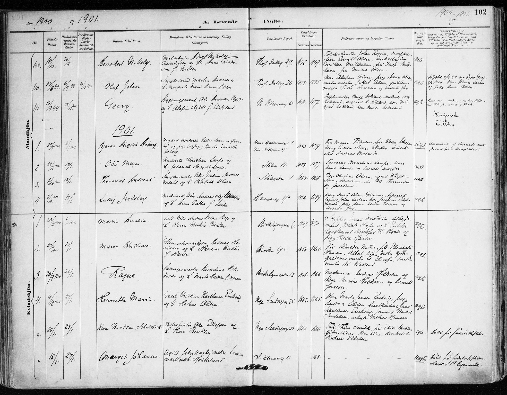 Mariakirken Sokneprestembete, AV/SAB-A-76901/H/Haa/L0008: Parish register (official) no. A 8, 1893-1942, p. 102