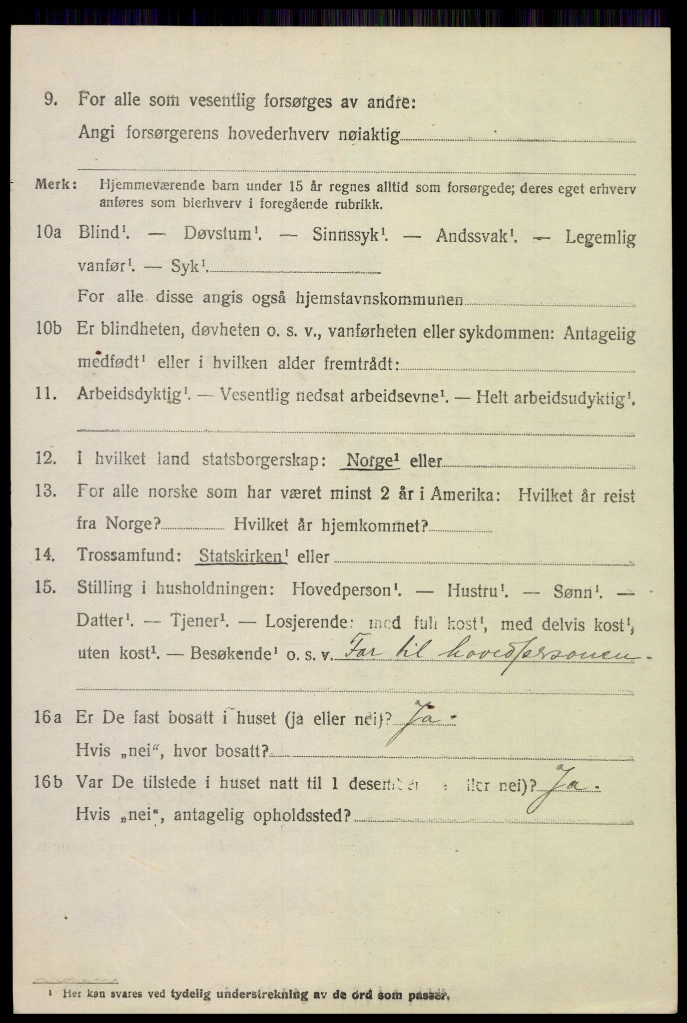 SAH, 1920 census for Skjåk, 1920, p. 1075