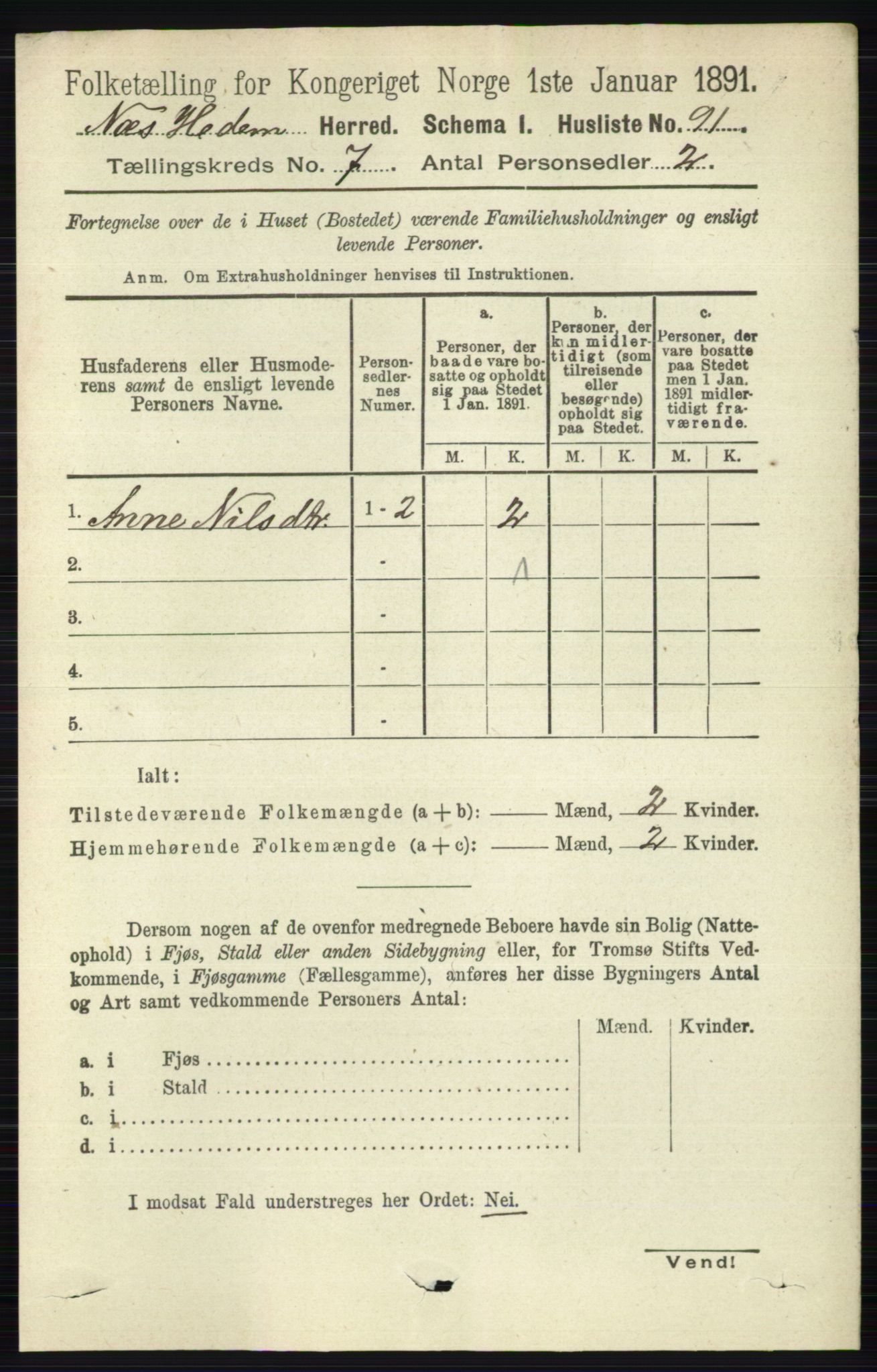 RA, 1891 census for 0411 Nes, 1891, p. 3920