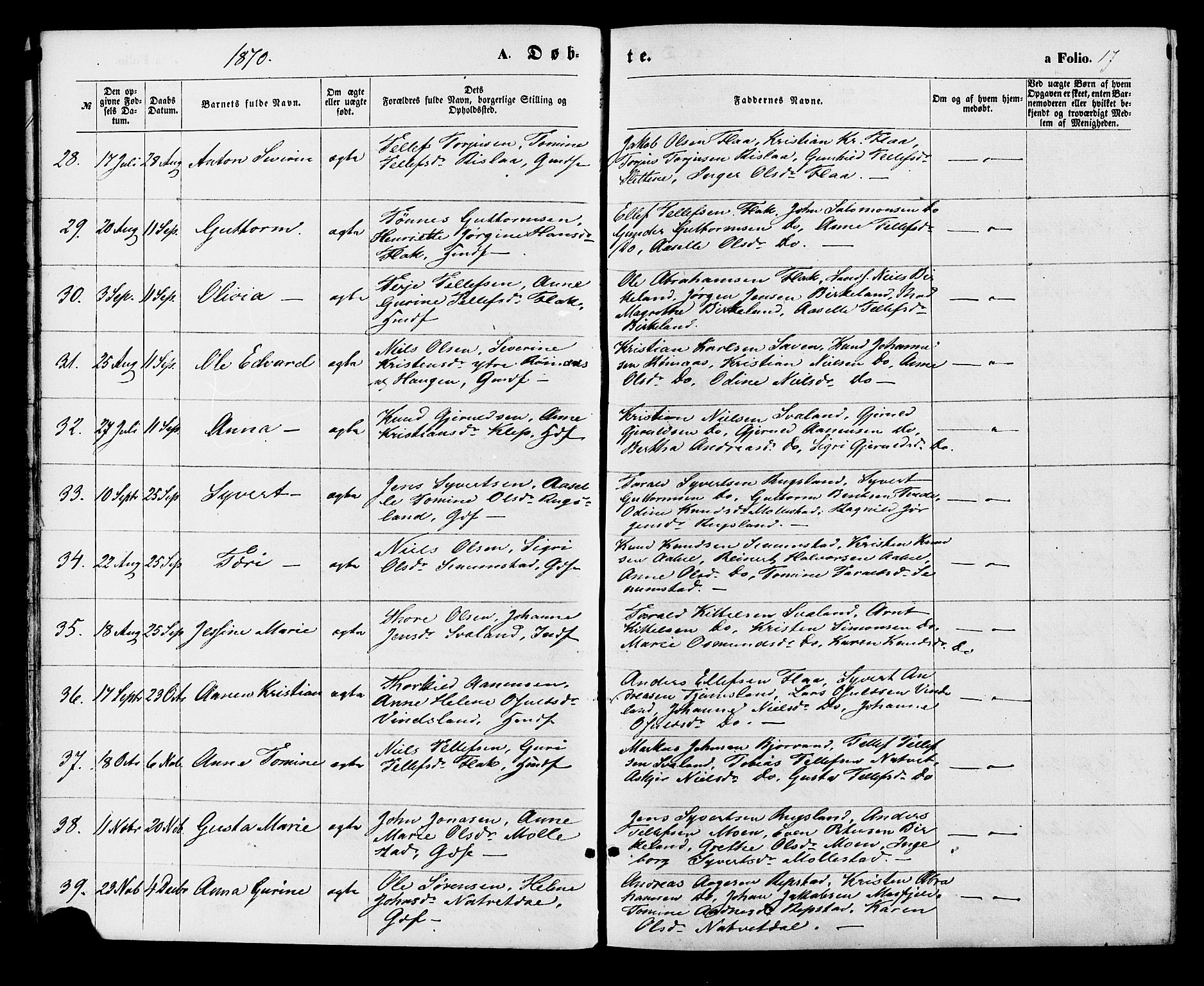 Birkenes sokneprestkontor, AV/SAK-1111-0004/F/Fa/L0004: Parish register (official) no. A 4, 1867-1886, p. 17