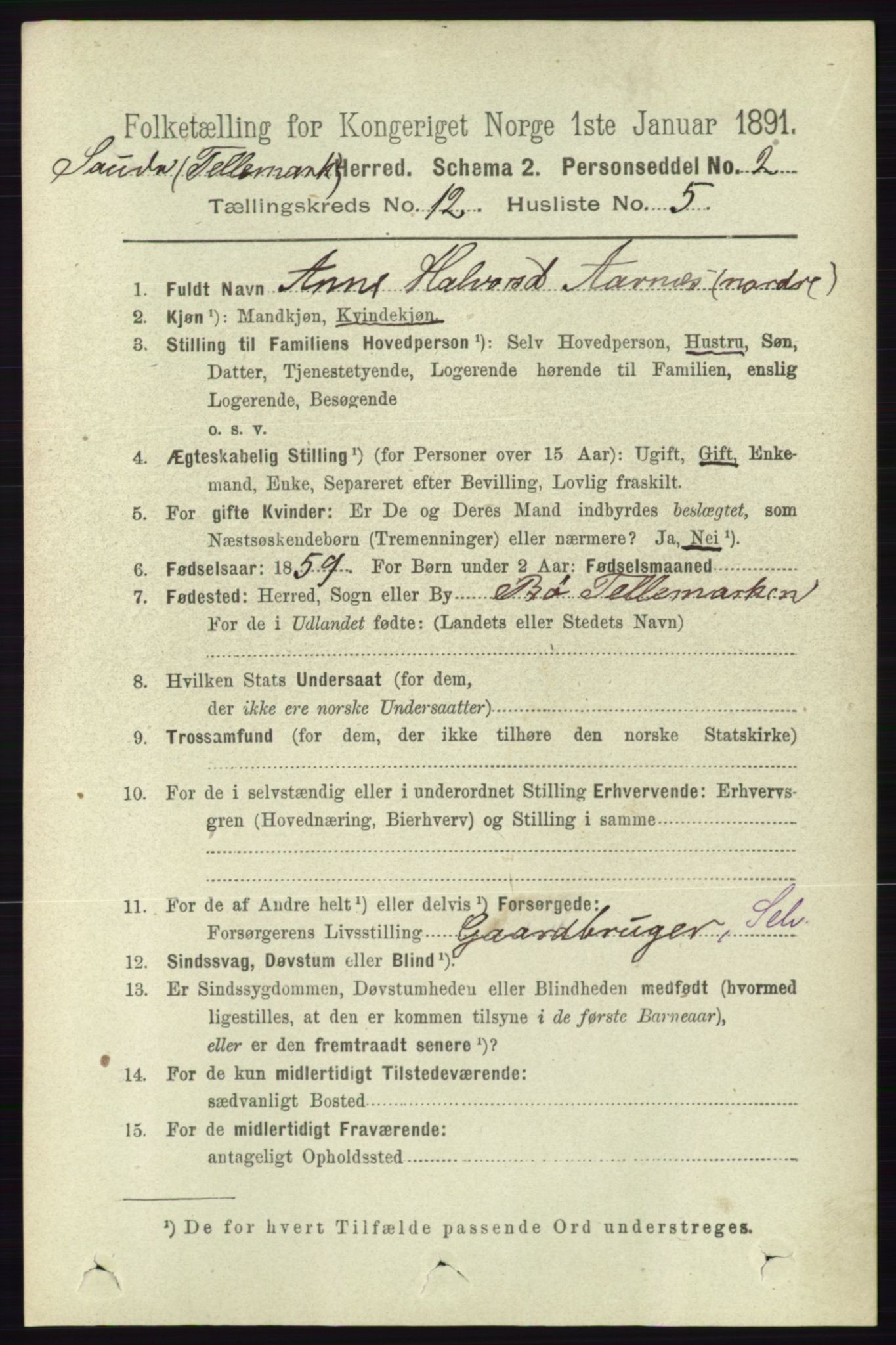 RA, 1891 census for 0822 Sauherad, 1891, p. 3648