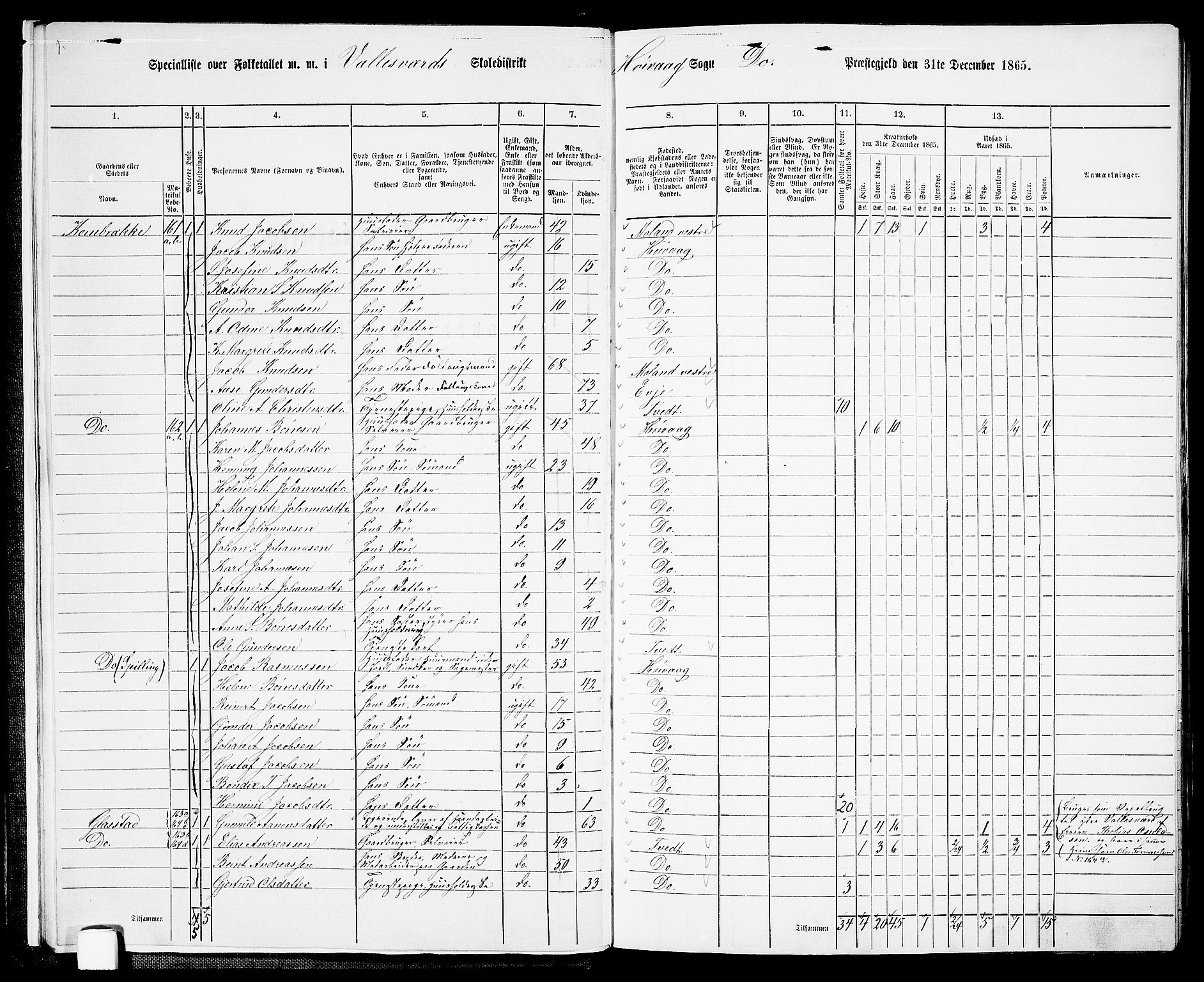 RA, 1865 census for Høvåg, 1865, p. 11