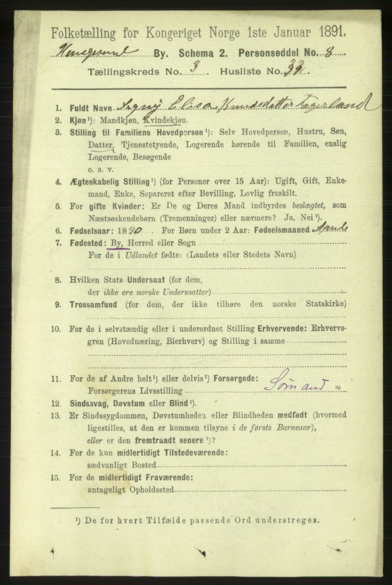 RA, 1891 census for 1106 Haugesund, 1891, p. 1149