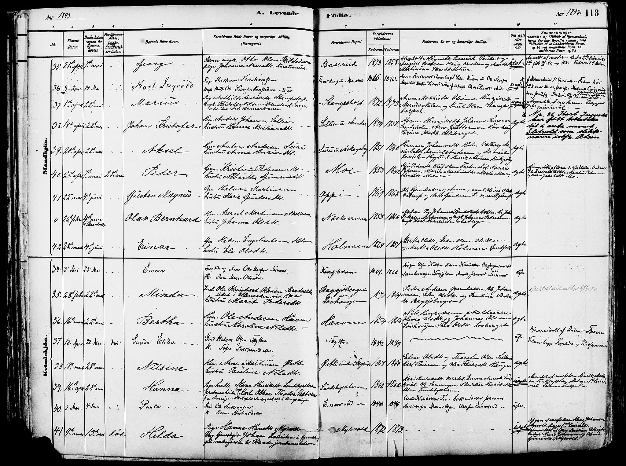 Grue prestekontor, AV/SAH-PREST-036/H/Ha/Haa/L0012: Parish register (official) no. 12, 1881-1897, p. 113