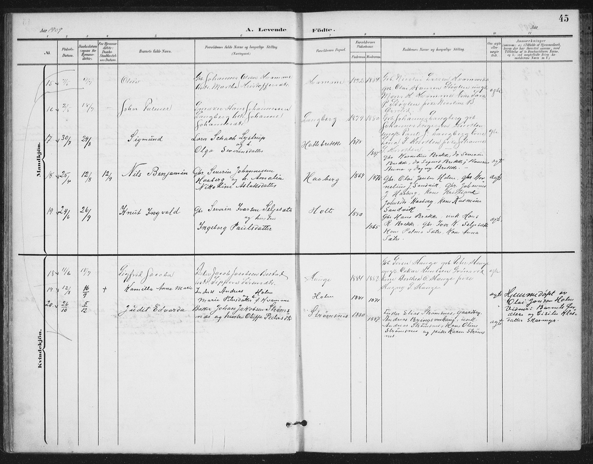 Ministerialprotokoller, klokkerbøker og fødselsregistre - Møre og Romsdal, AV/SAT-A-1454/503/L0038: Parish register (official) no. 503A06, 1901-1917, p. 45