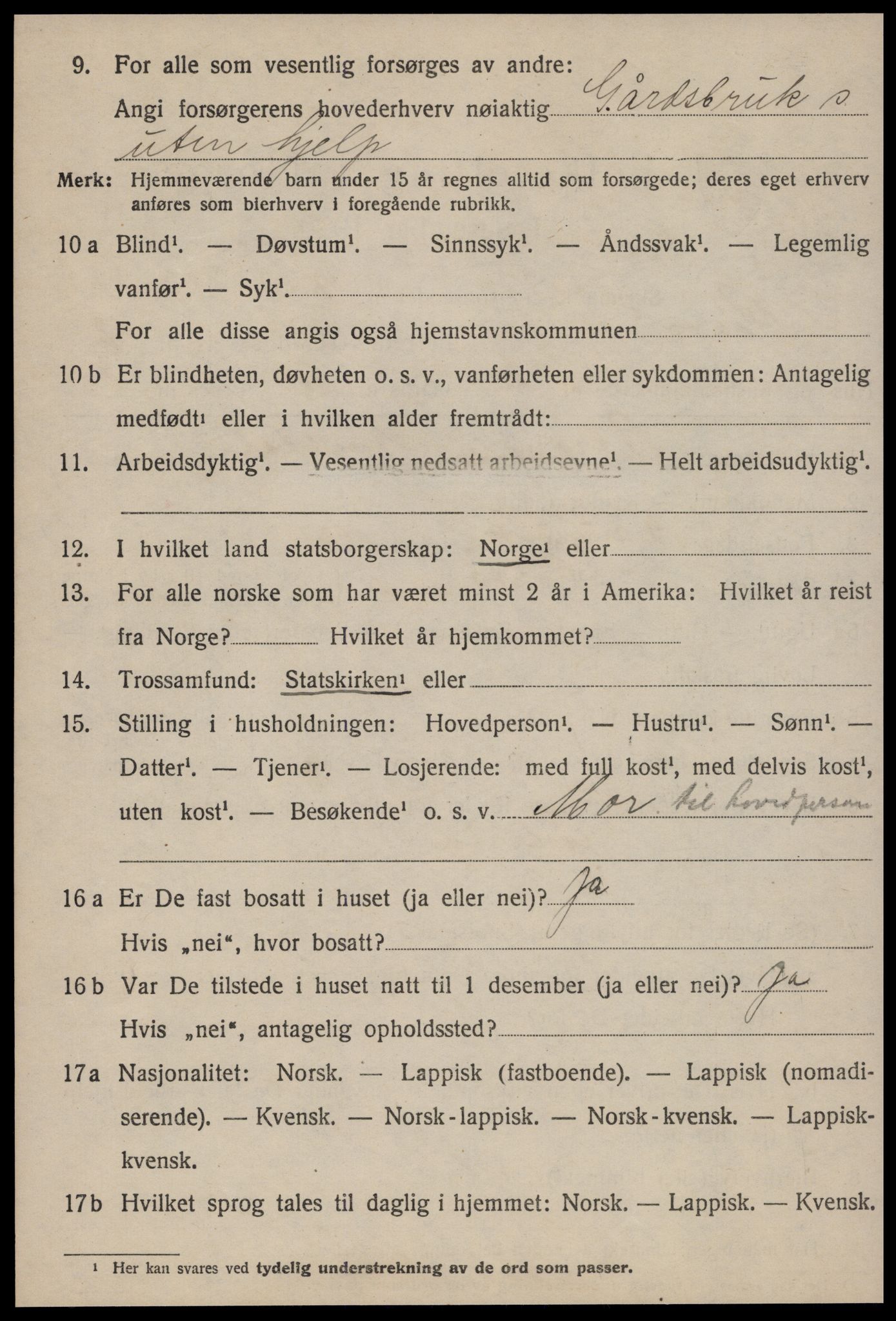 SAT, 1920 census for Røros, 1920, p. 9393