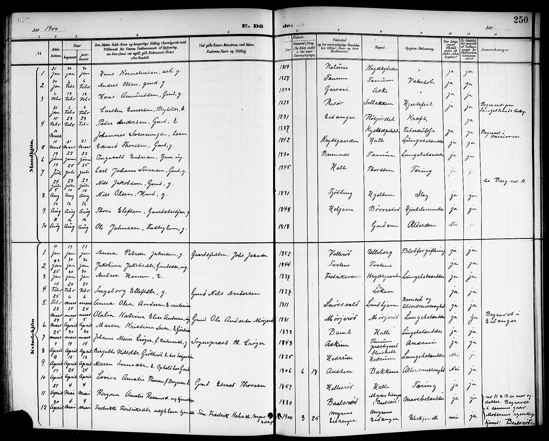 Brunlanes kirkebøker, SAKO/A-342/G/Ga/L0004: Parish register (copy) no. I 4, 1898-1921, p. 250