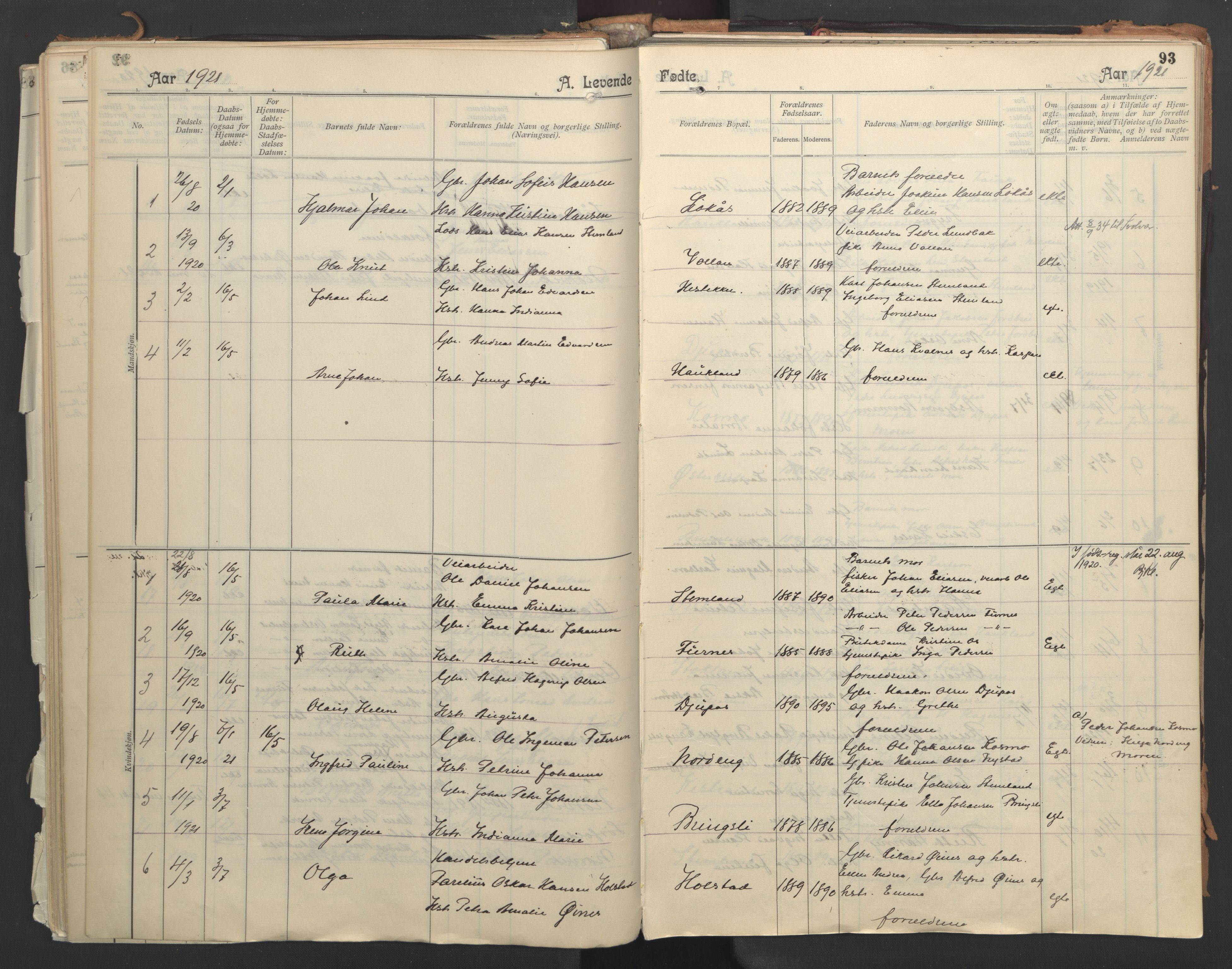 Ministerialprotokoller, klokkerbøker og fødselsregistre - Nordland, AV/SAT-A-1459/851/L0724: Parish register (official) no. 851A01, 1901-1922, p. 93