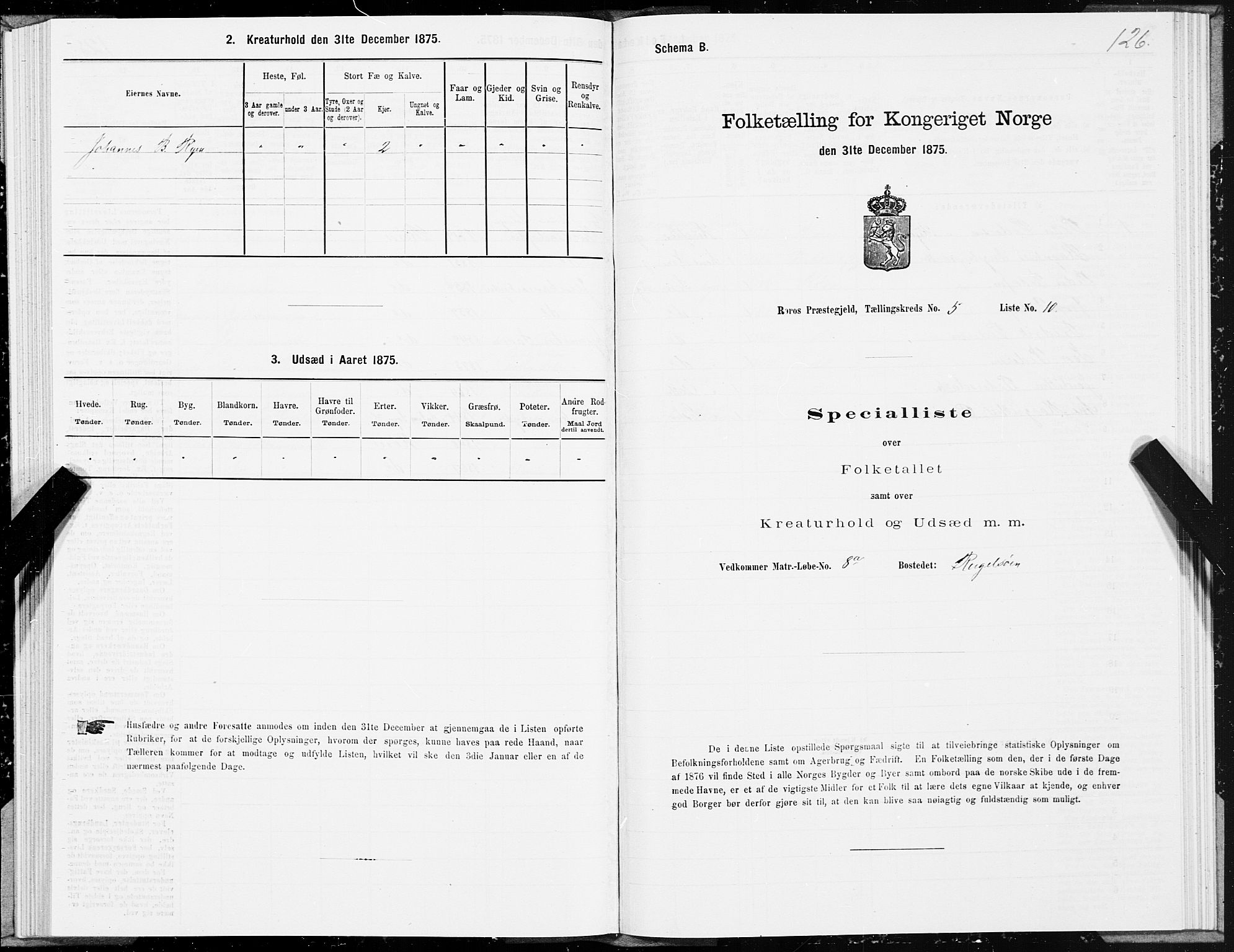 SAT, 1875 census for 1640P Røros, 1875, p. 3126