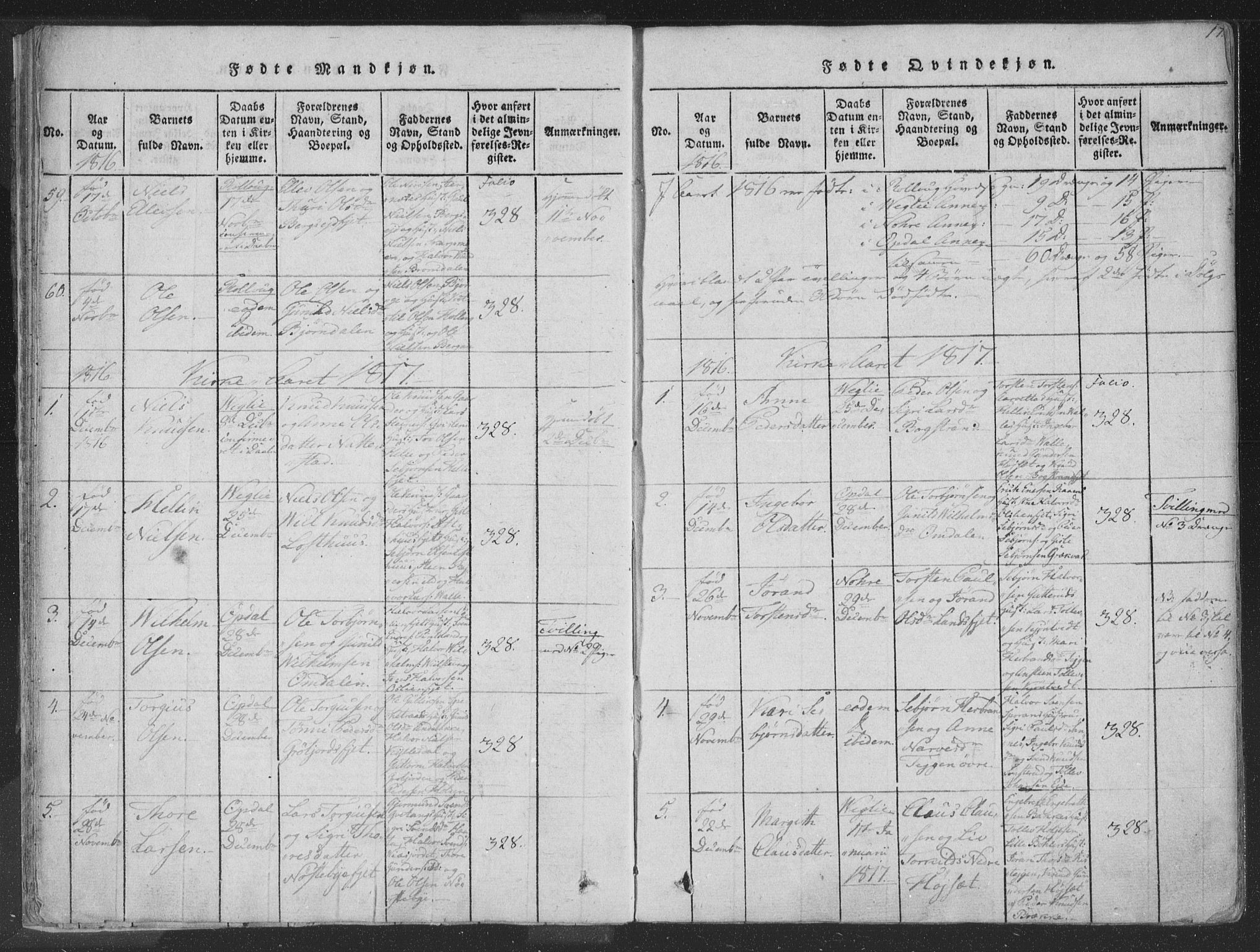 Rollag kirkebøker, SAKO/A-240/F/Fa/L0006: Parish register (official) no. I 6, 1814-1828, p. 17