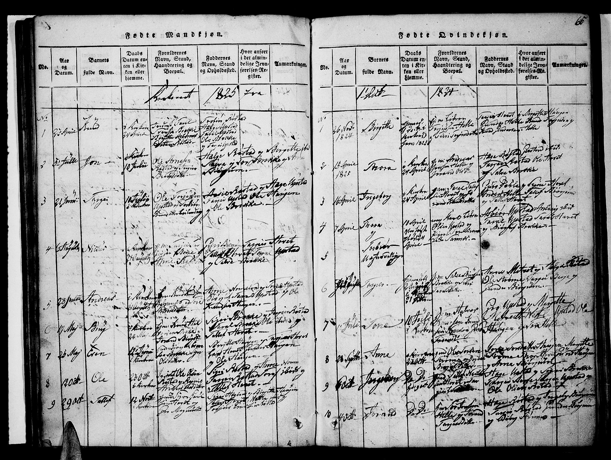 Valle sokneprestkontor, SAK/1111-0044/F/Fb/Fbc/L0001: Parish register (copy) no. B 1 /2, 1816-1829, p. 65