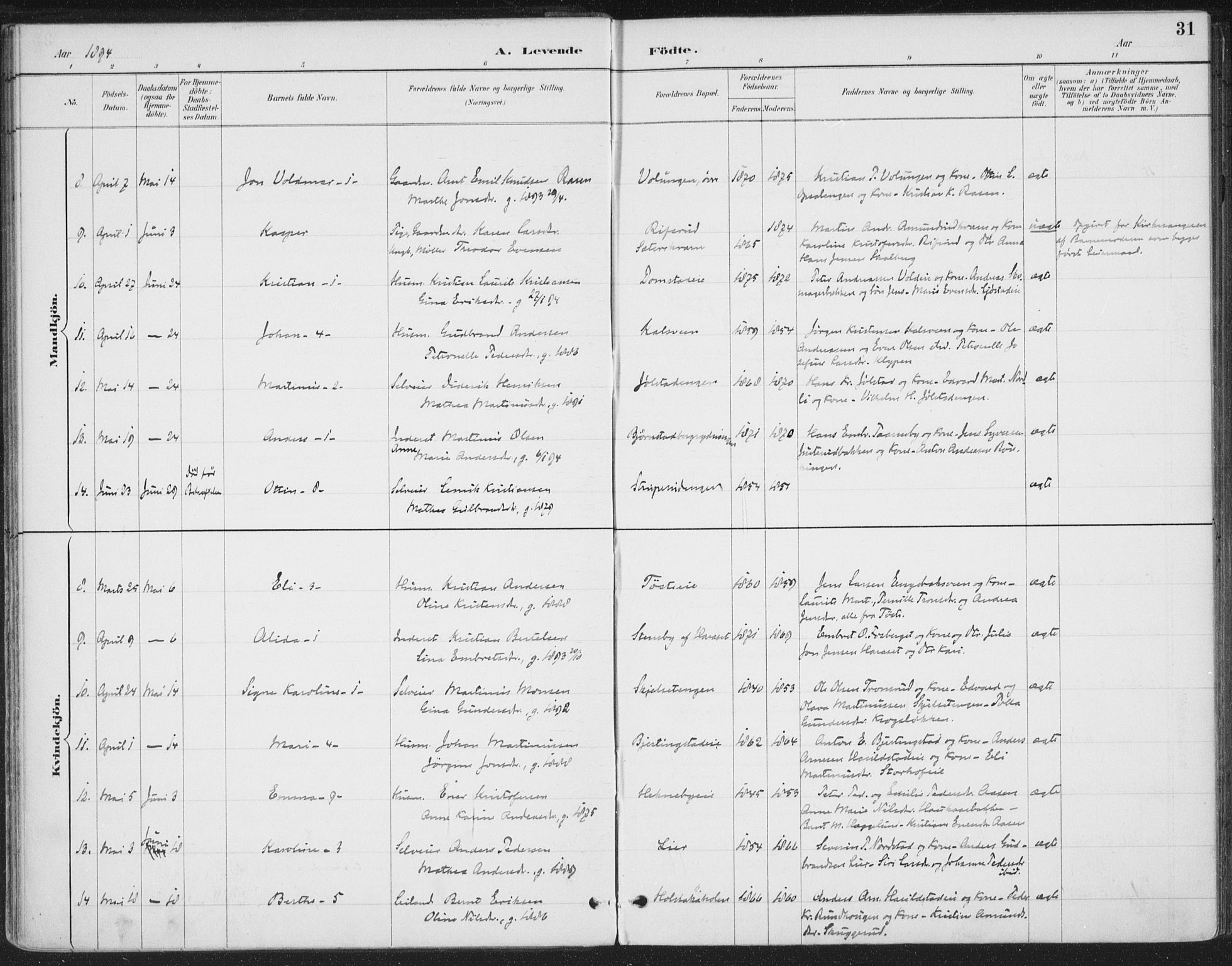 Romedal prestekontor, AV/SAH-PREST-004/K/L0008: Parish register (official) no. 8, 1887-1905, p. 31