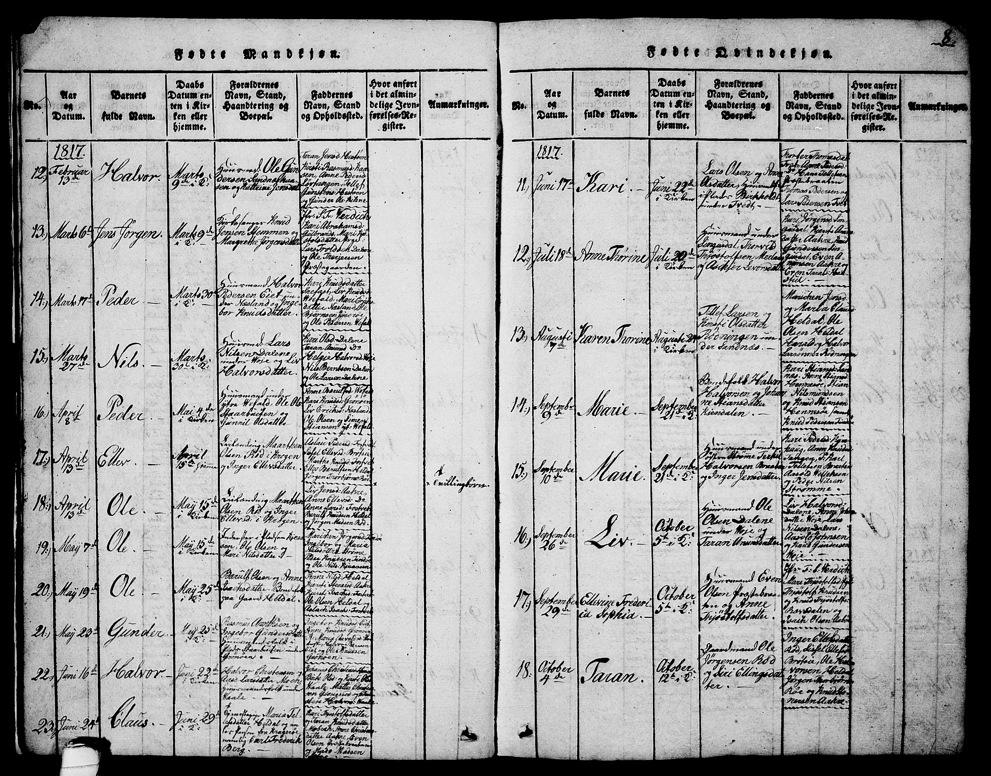 Drangedal kirkebøker, SAKO/A-258/G/Ga/L0001: Parish register (copy) no. I 1 /1, 1814-1856, p. 8