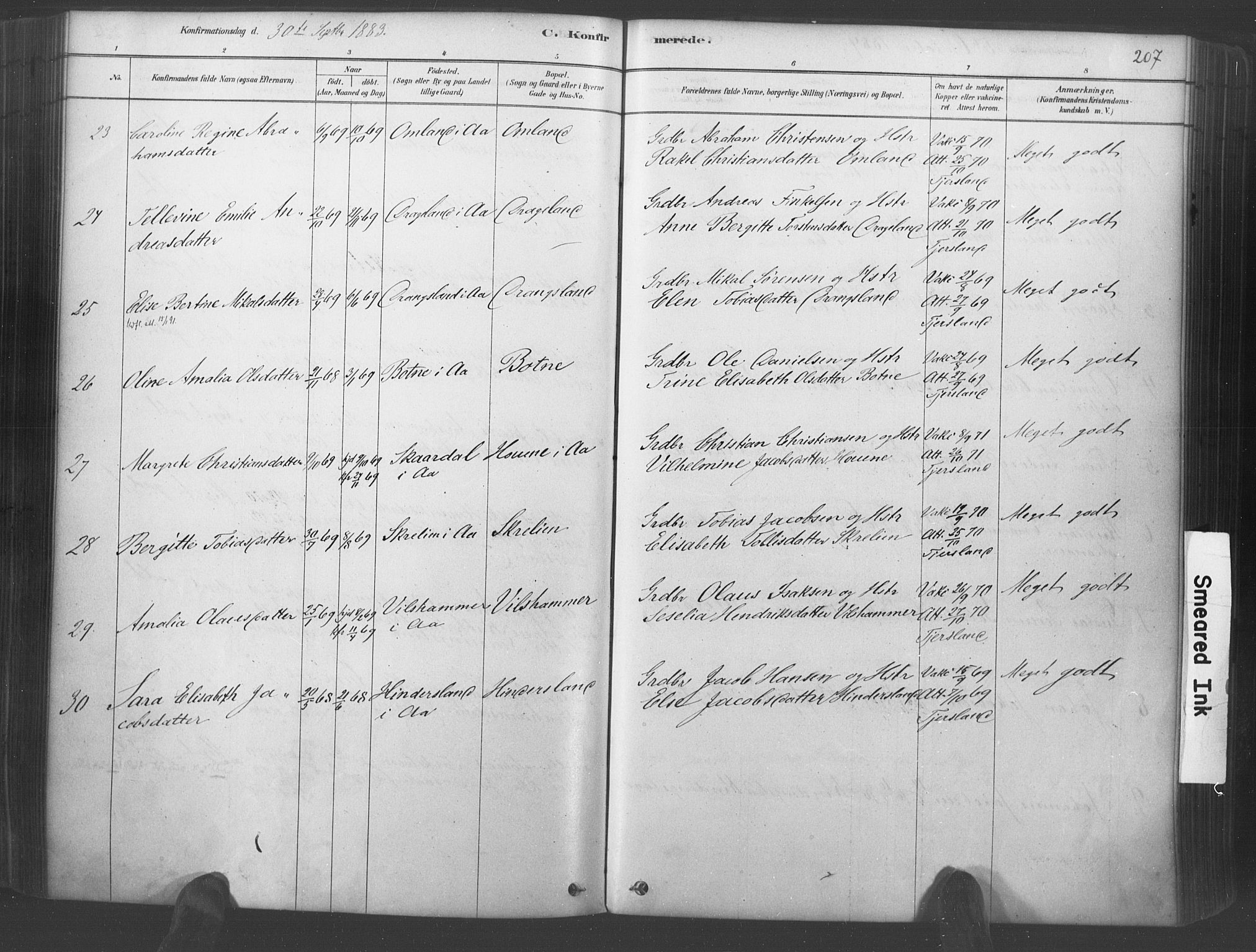 Lyngdal sokneprestkontor, AV/SAK-1111-0029/F/Fa/Fac/L0011: Parish register (official) no. A 11, 1878-1893, p. 207