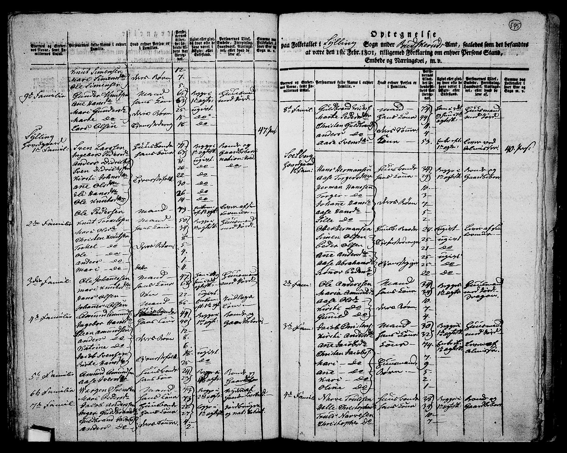 RA, 1801 census for 0626P Lier, 1801, p. 544b-545a